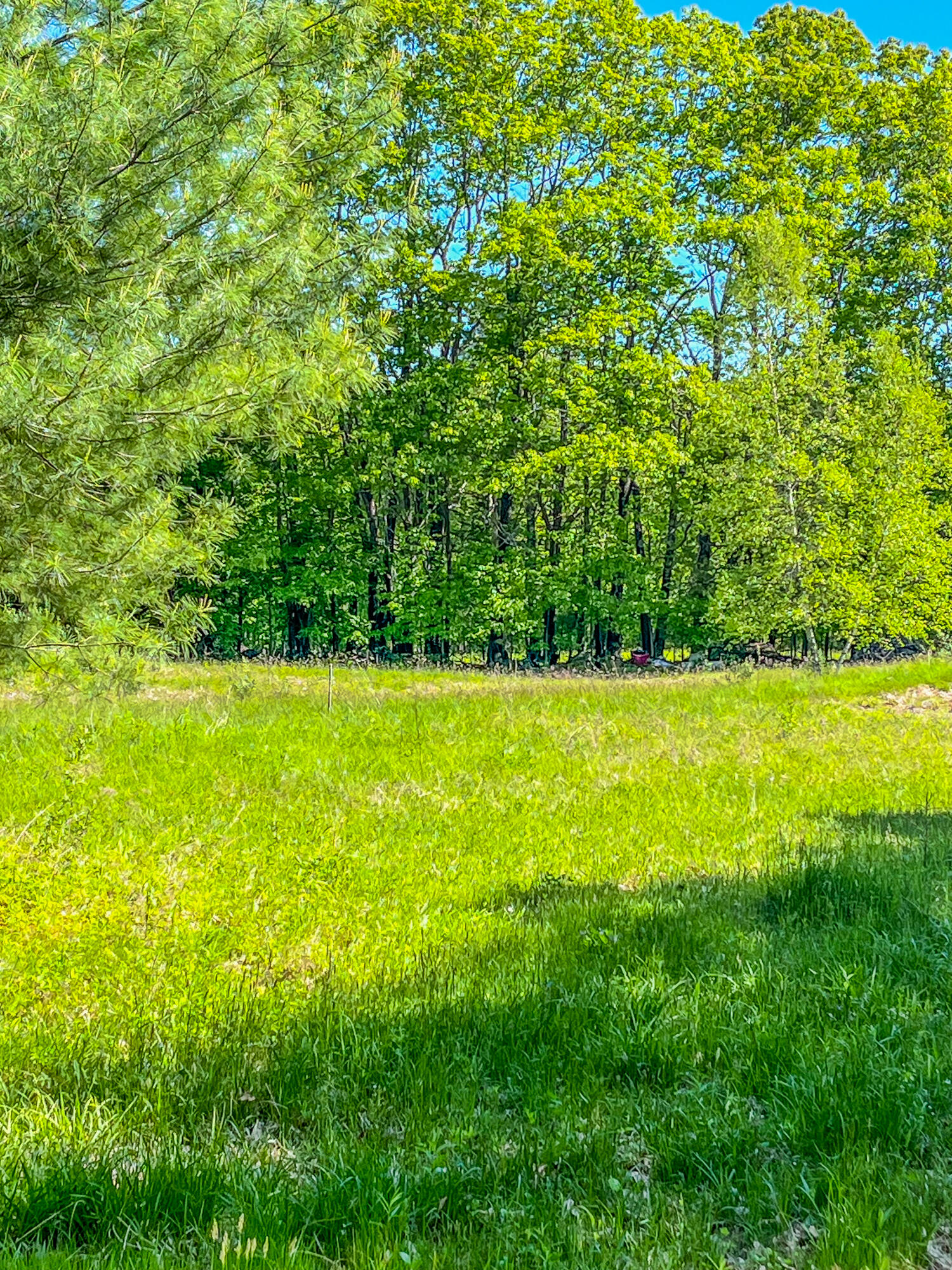 13 S Dondero Road