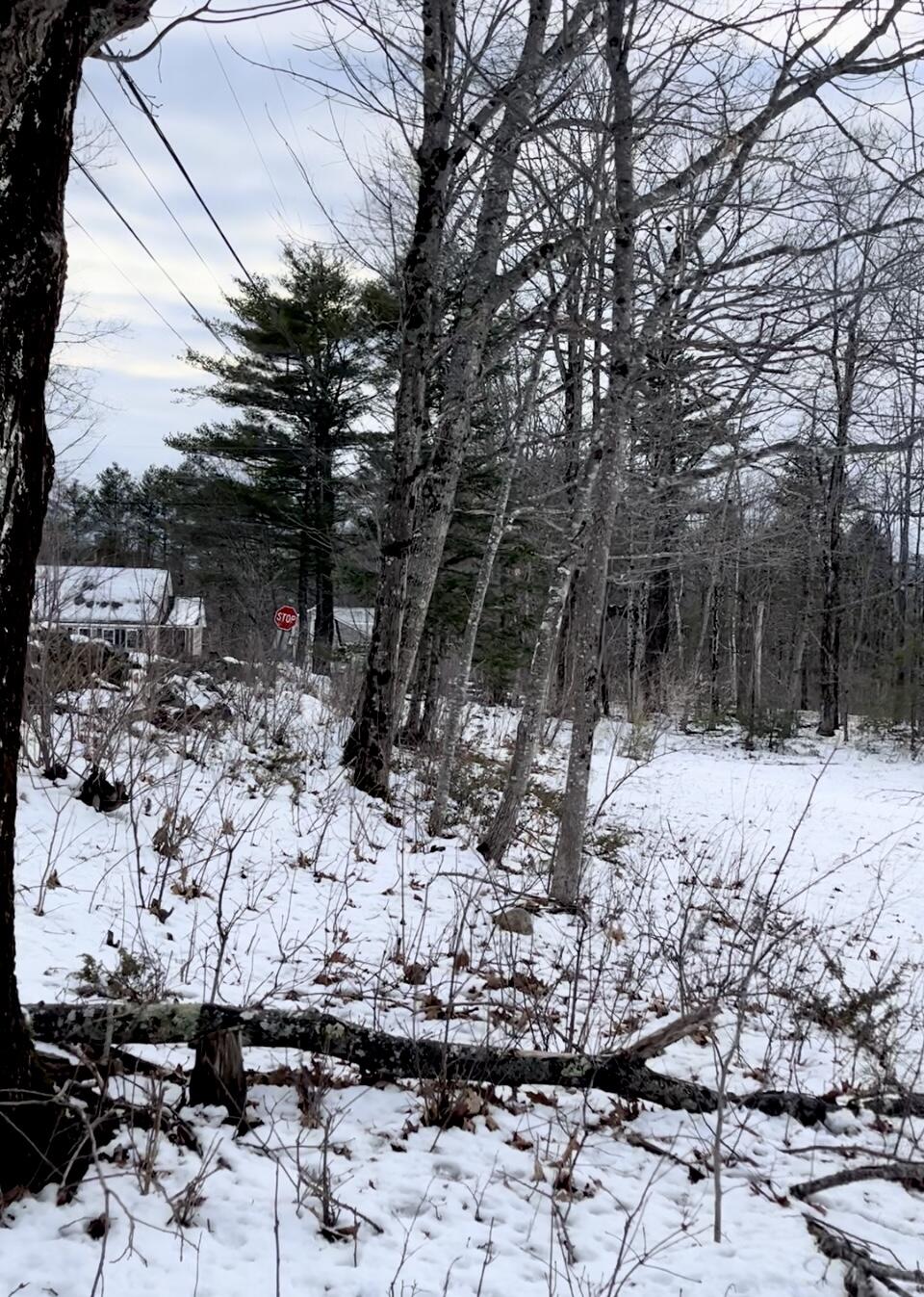13 S Dondero Road