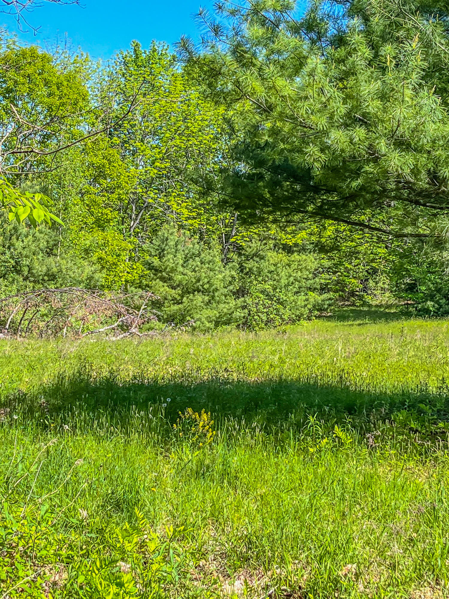 13 S Dondero Road