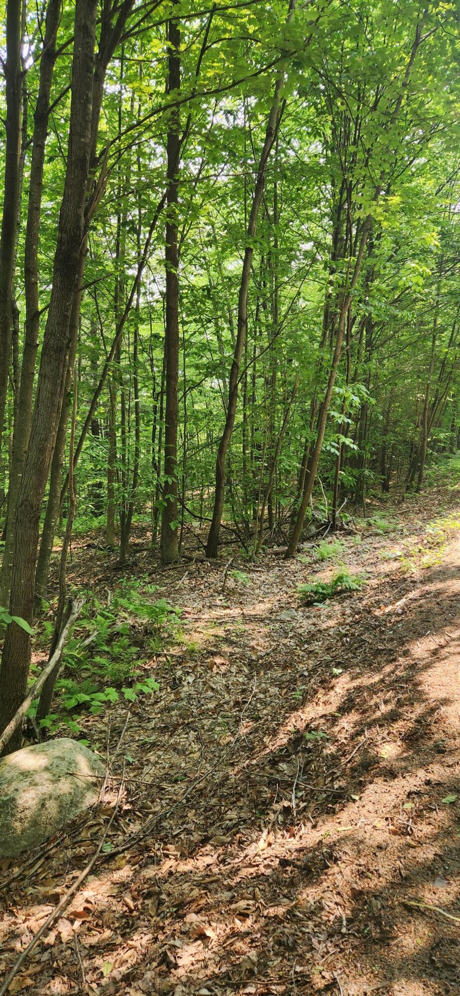 Lot 2 Village View Street