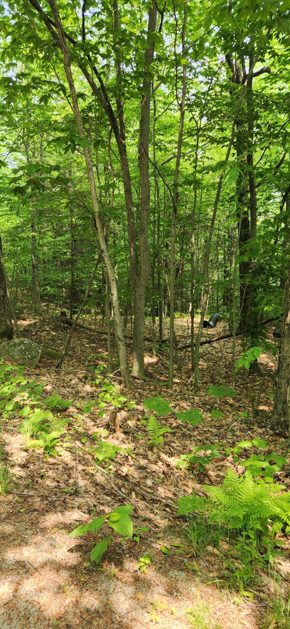 Lot 2 Village View Street