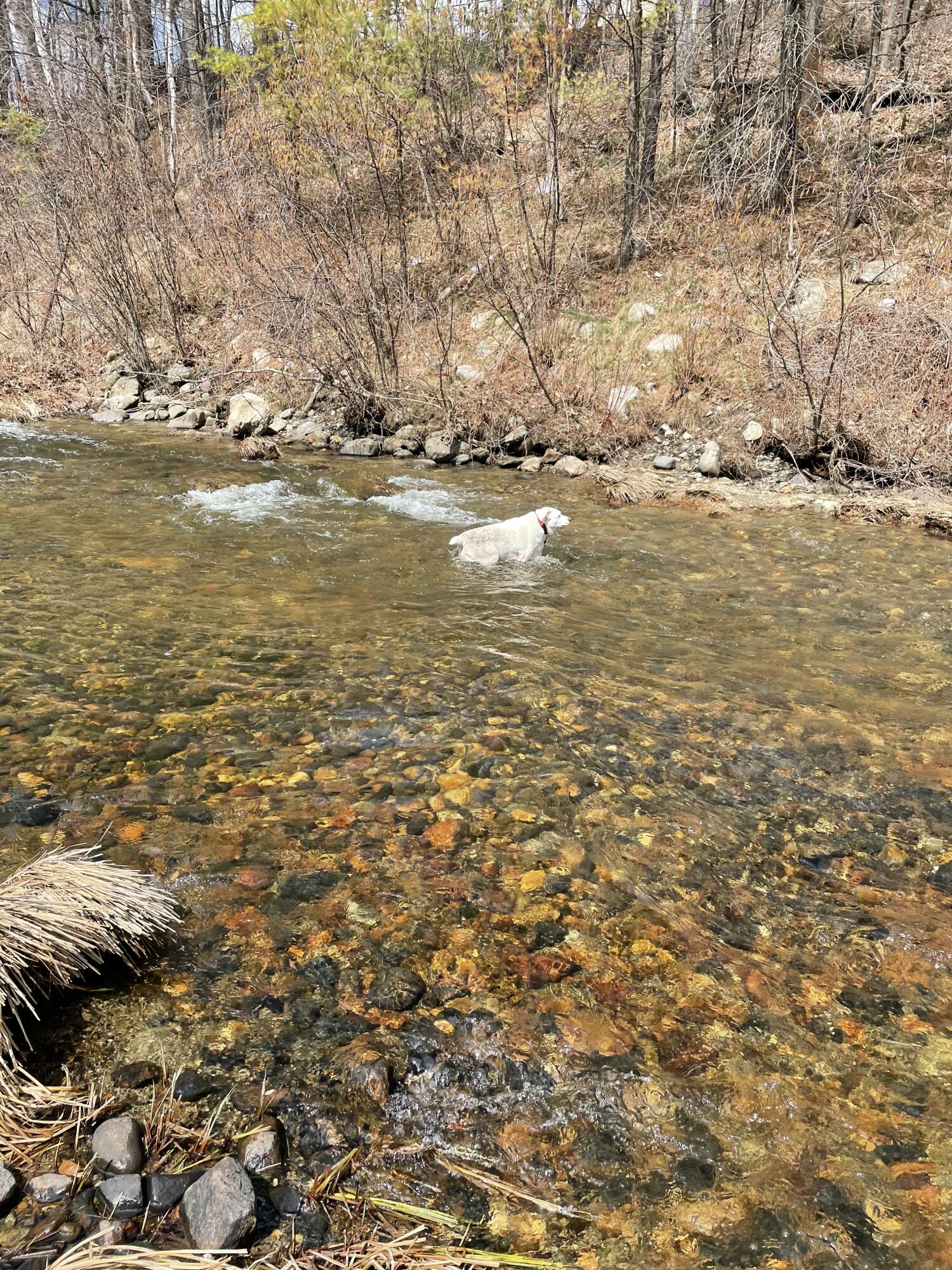 Lot 2 Village View Street