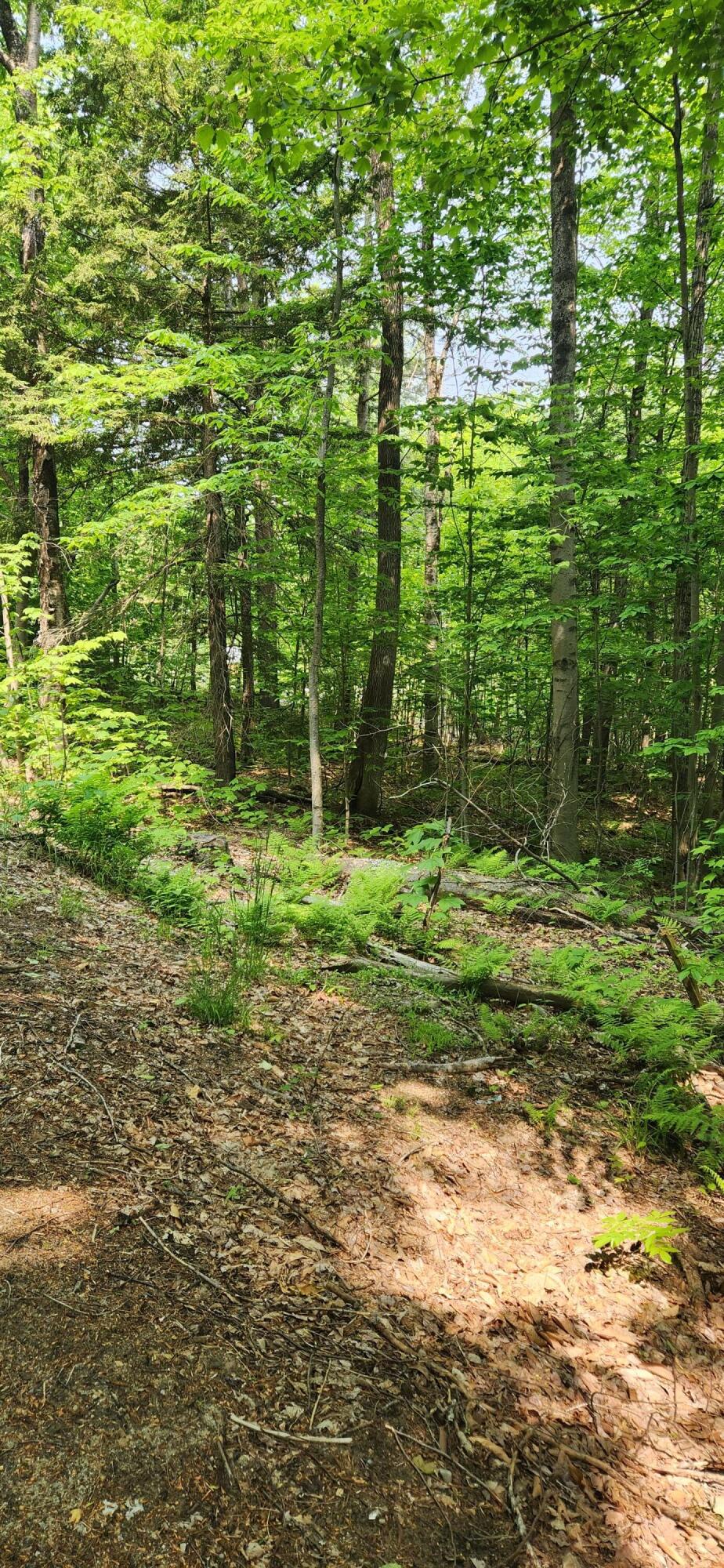 Lot 2 Village View Street