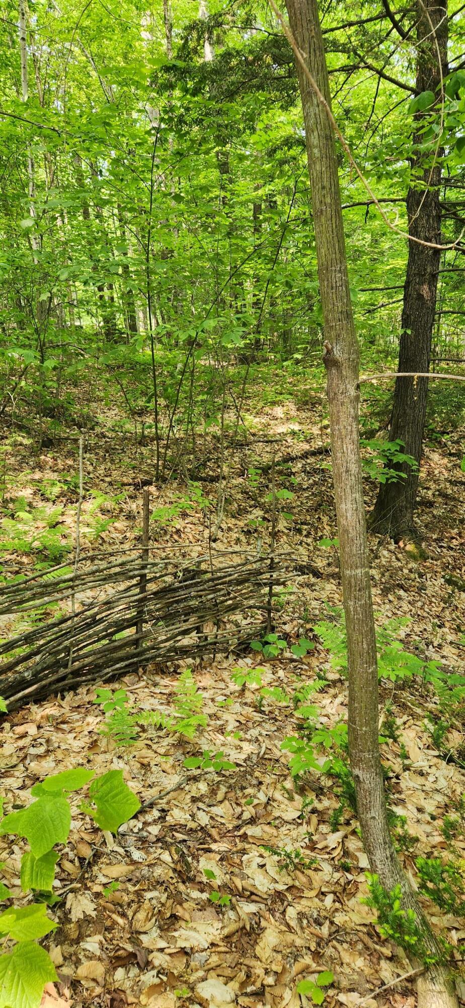 Lot 2 Village View Street