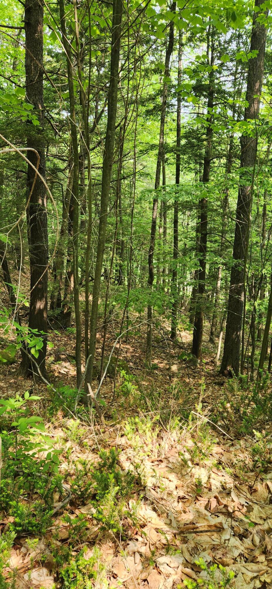 Lot 2 Village View Street