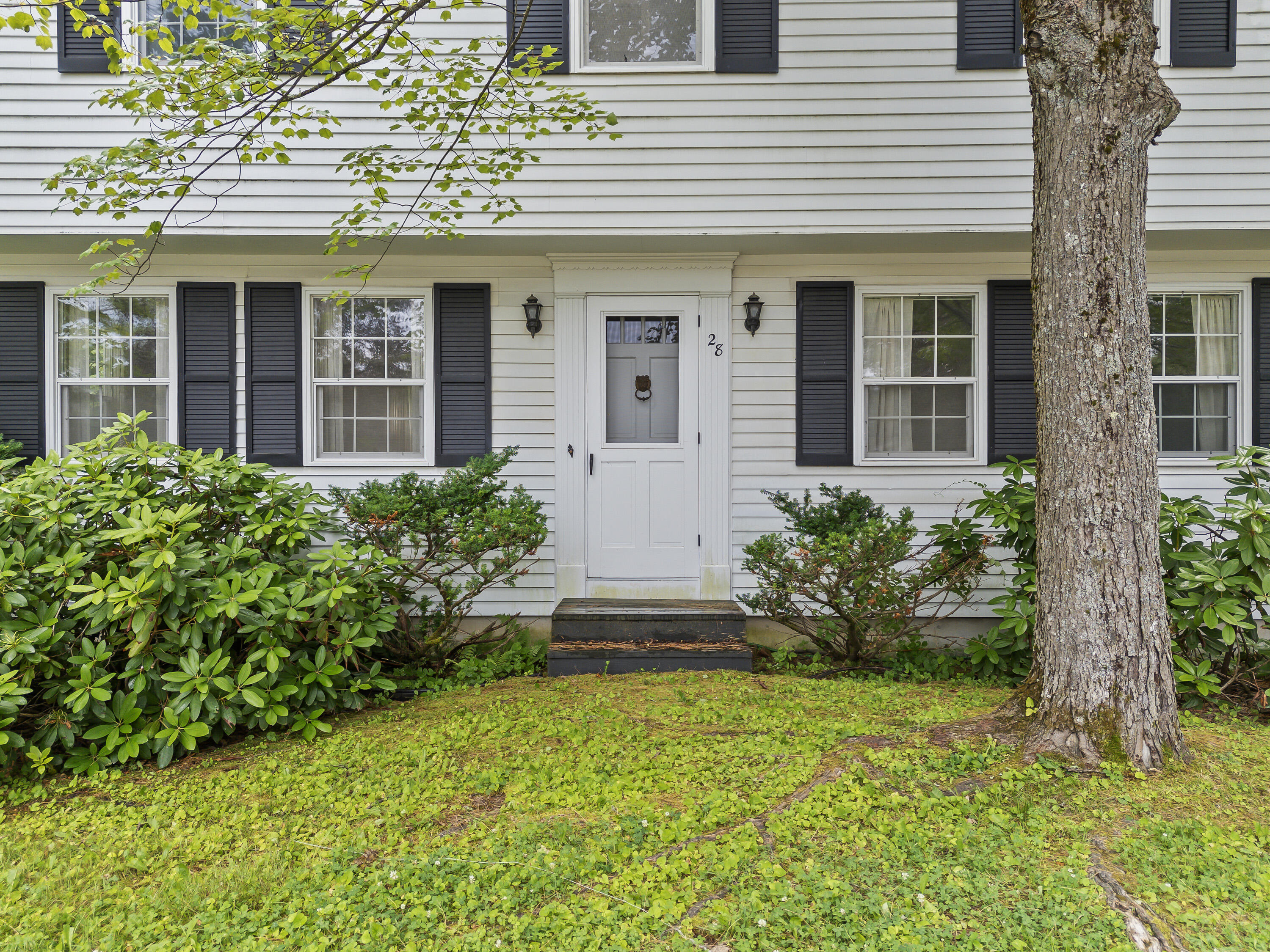28 Colony Road