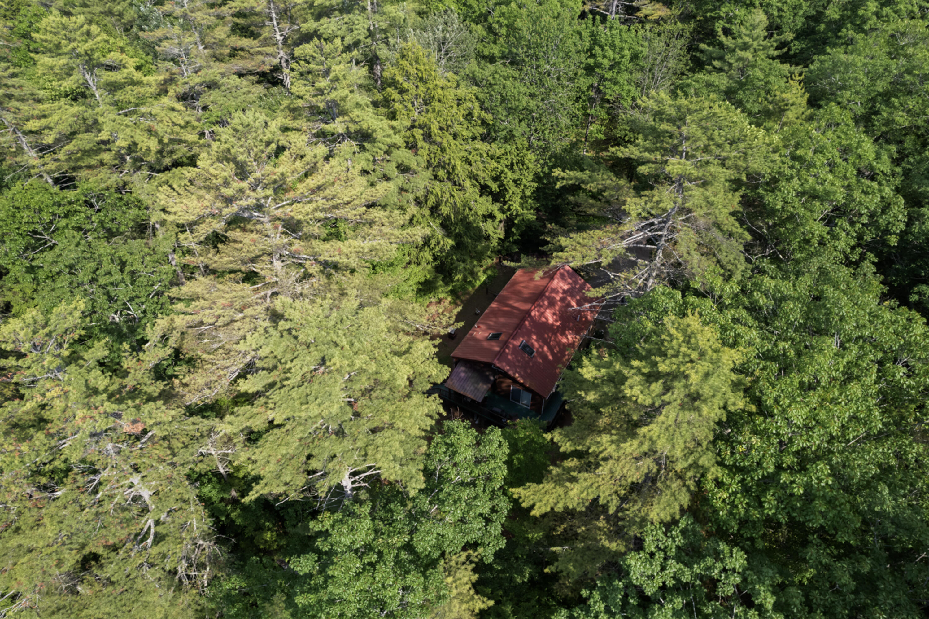175 Buck N Doe Trail