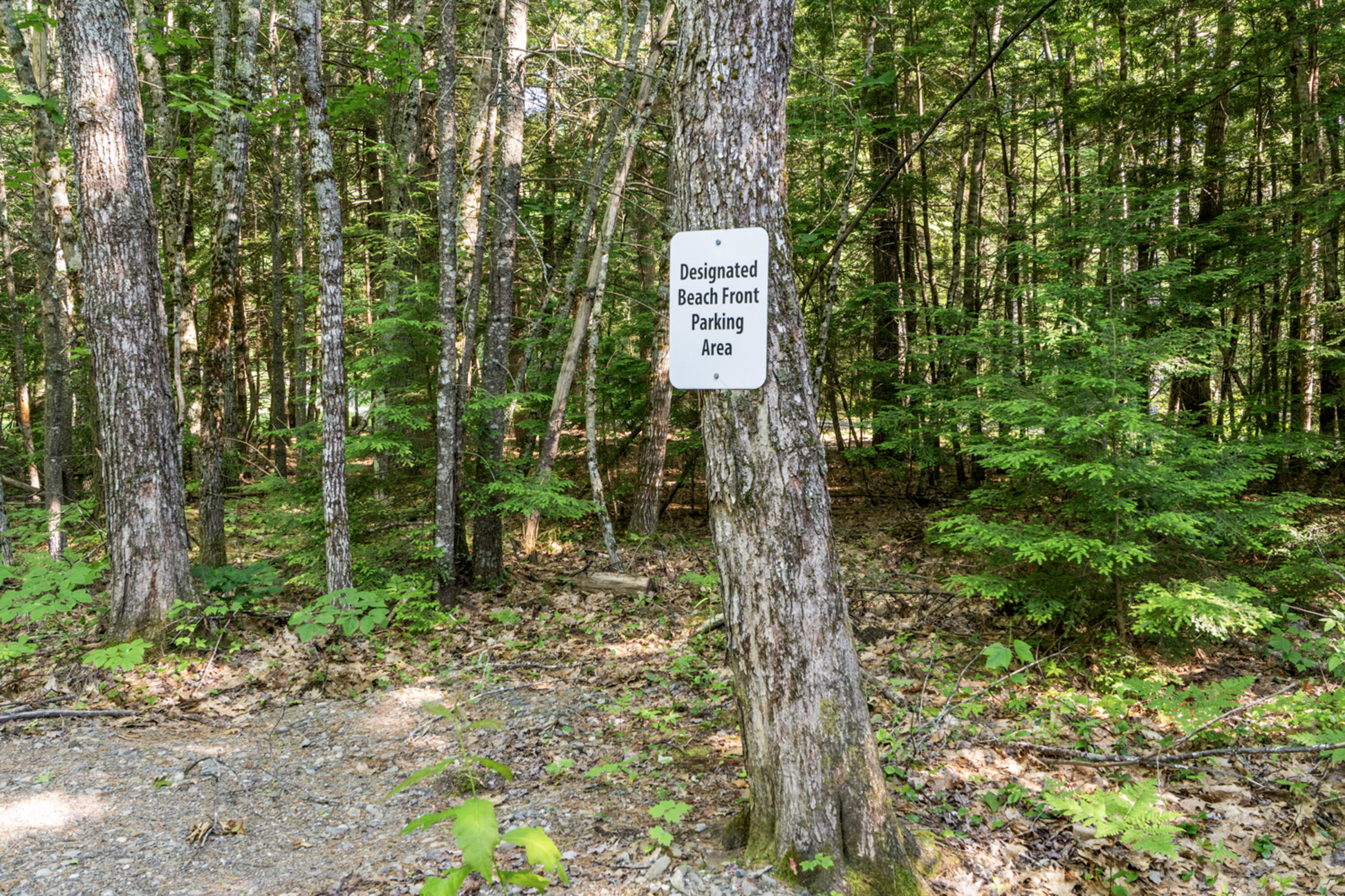 175 Buck N Doe Trail