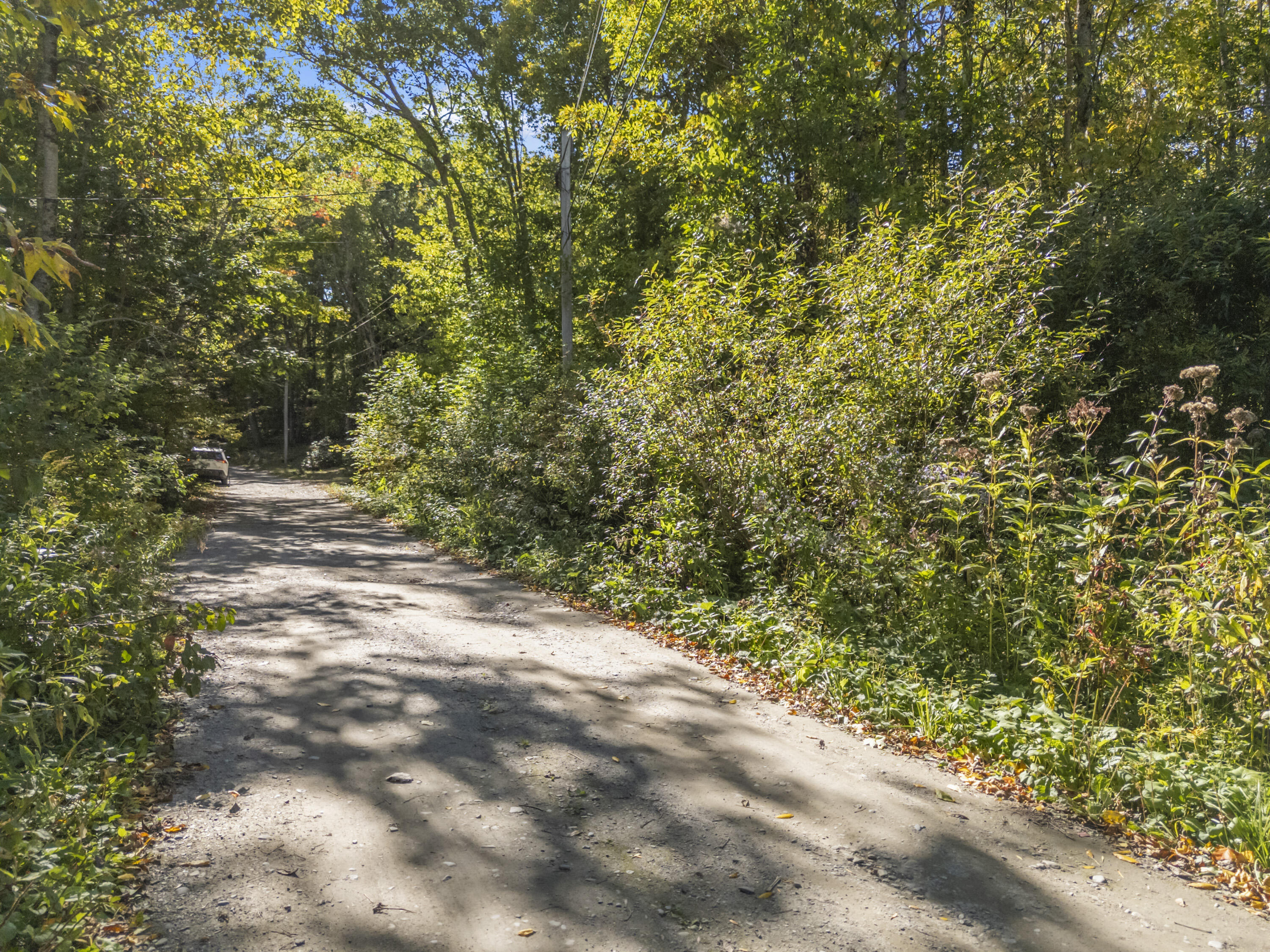 Lot #58 South Vigue Shore Road