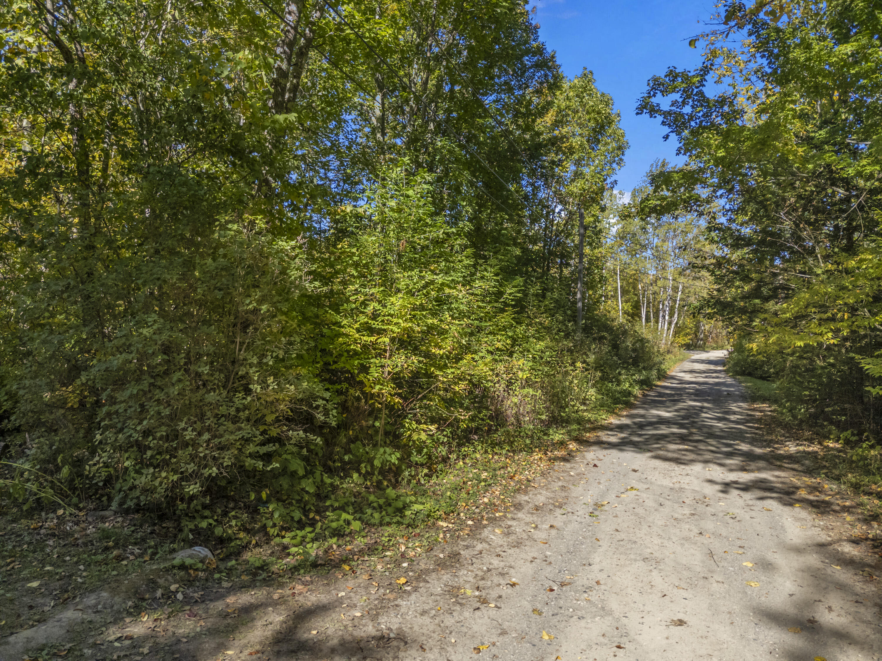 Lot #58 South Vigue Shore Road