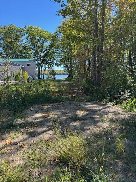 Lot #58 South Vigue Shore Road