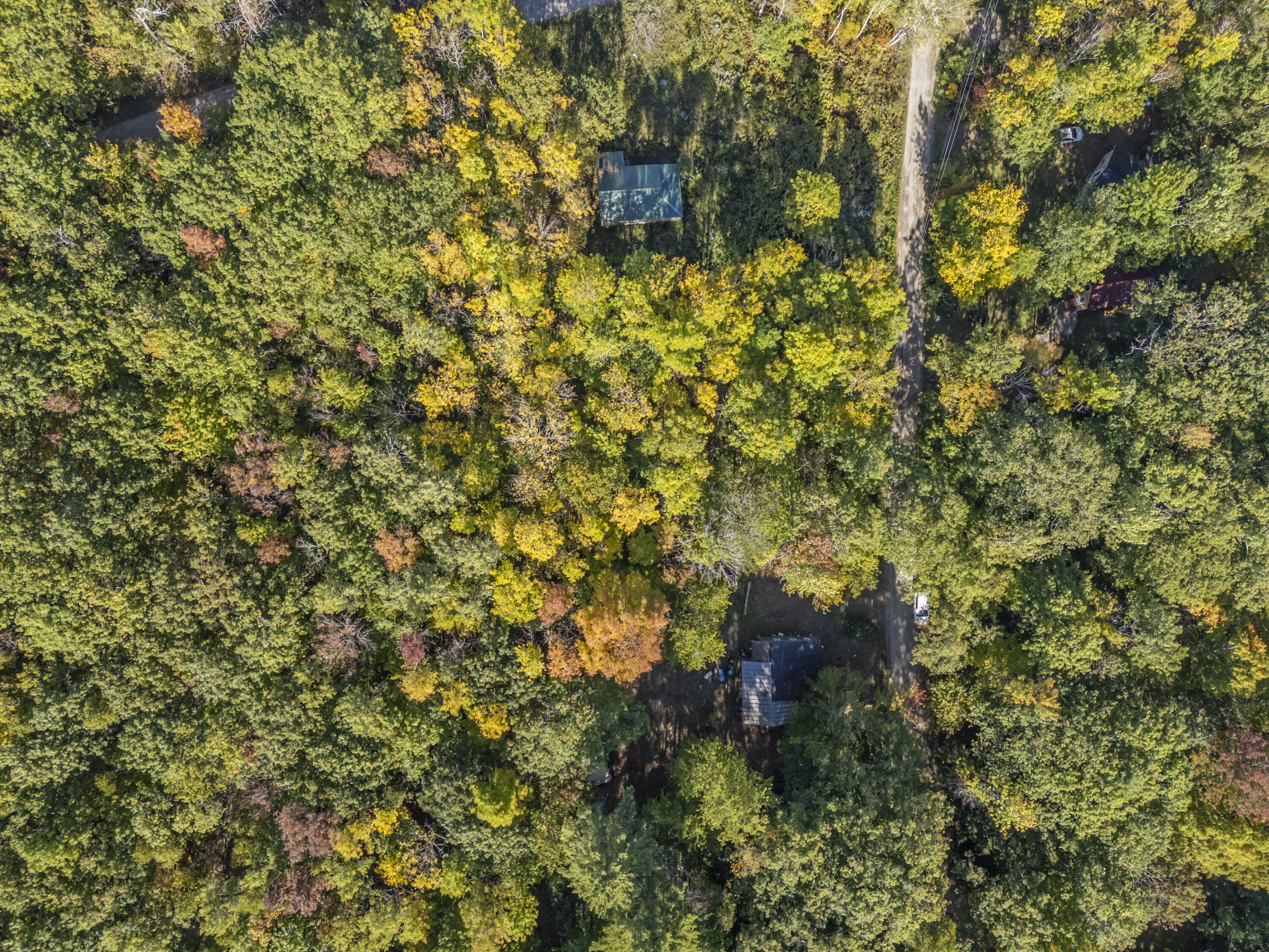 Lot #58 South Vigue Shore Road