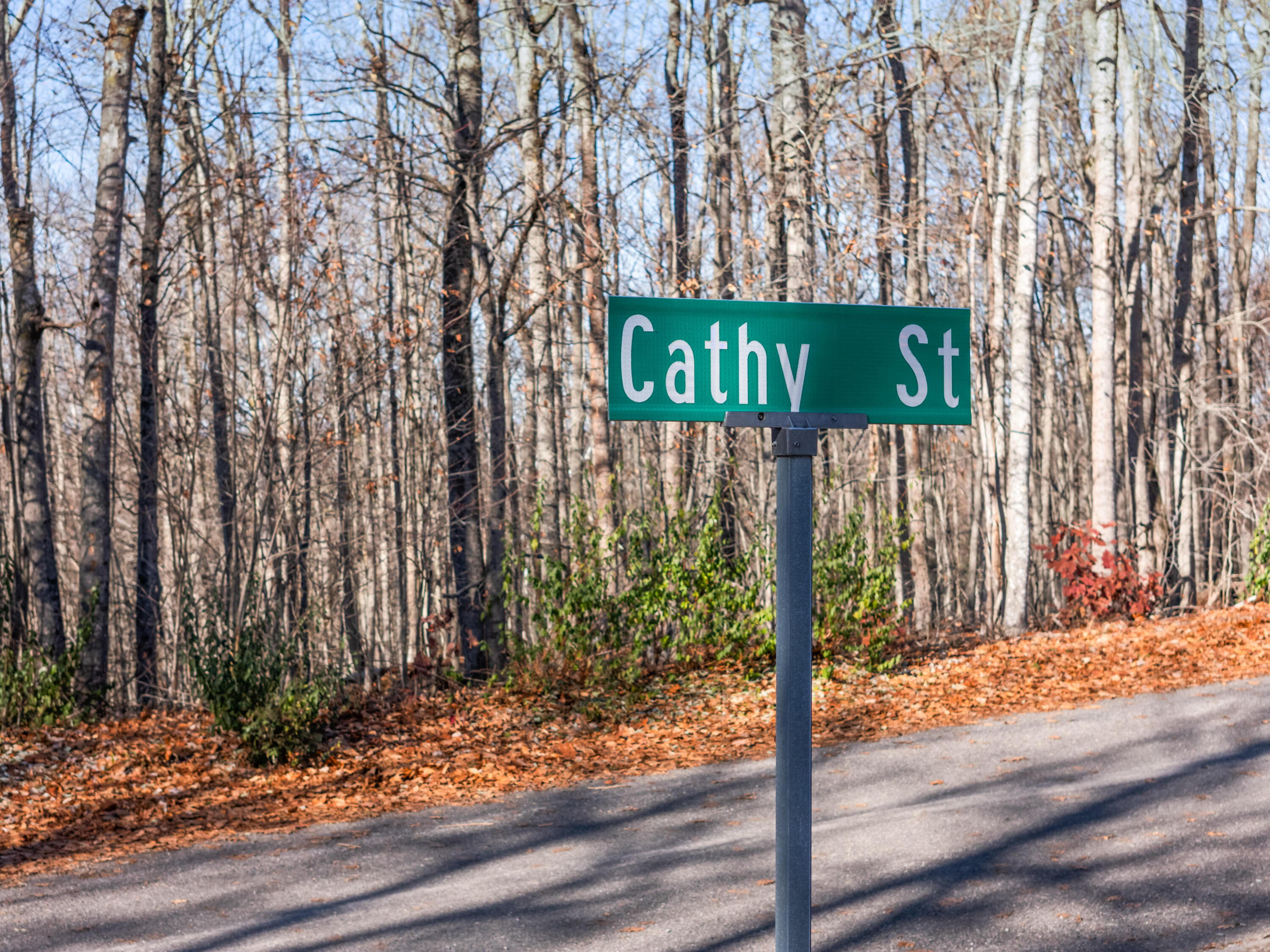 118 Cathy Street