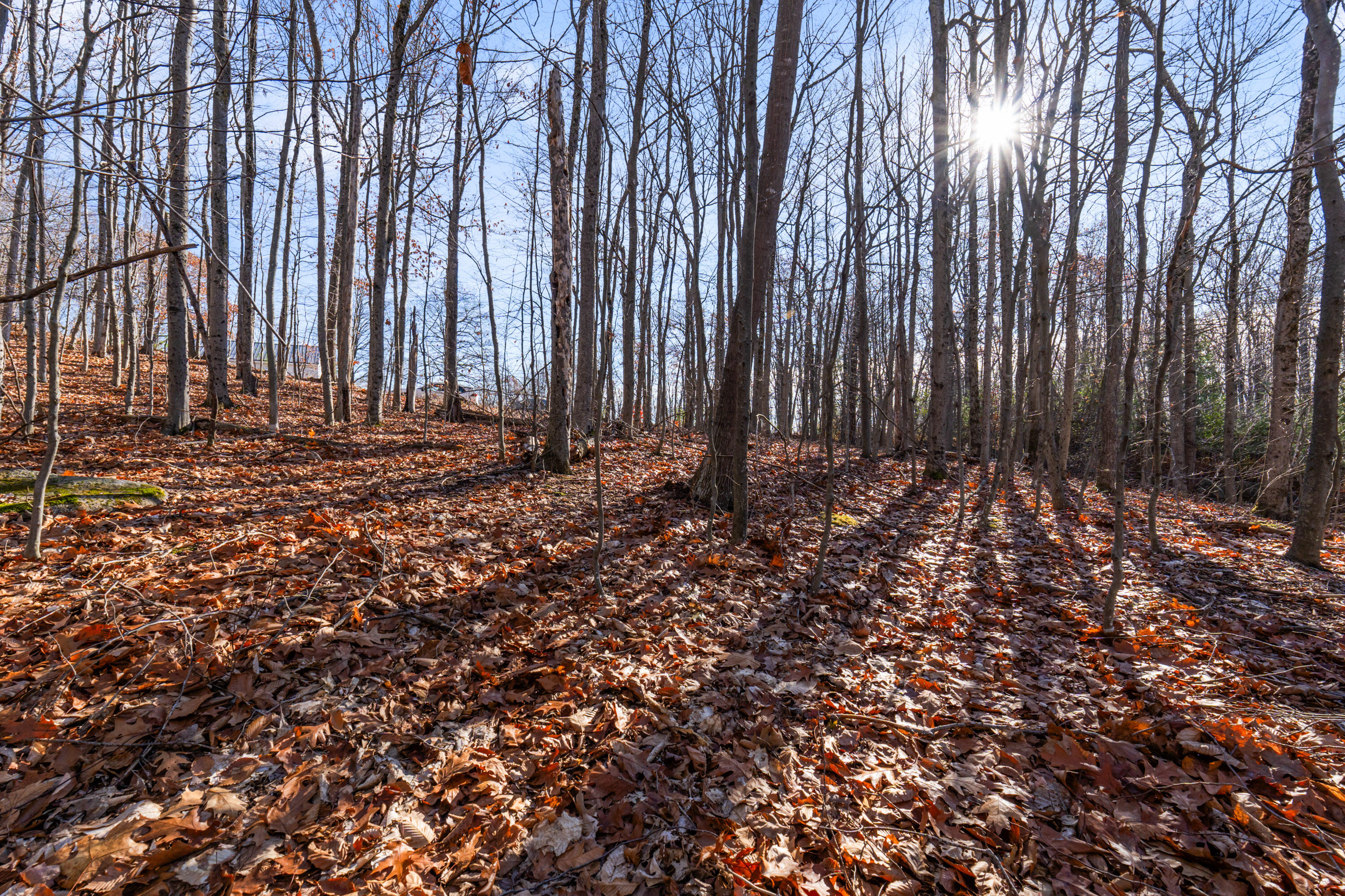 118 Cathy Street