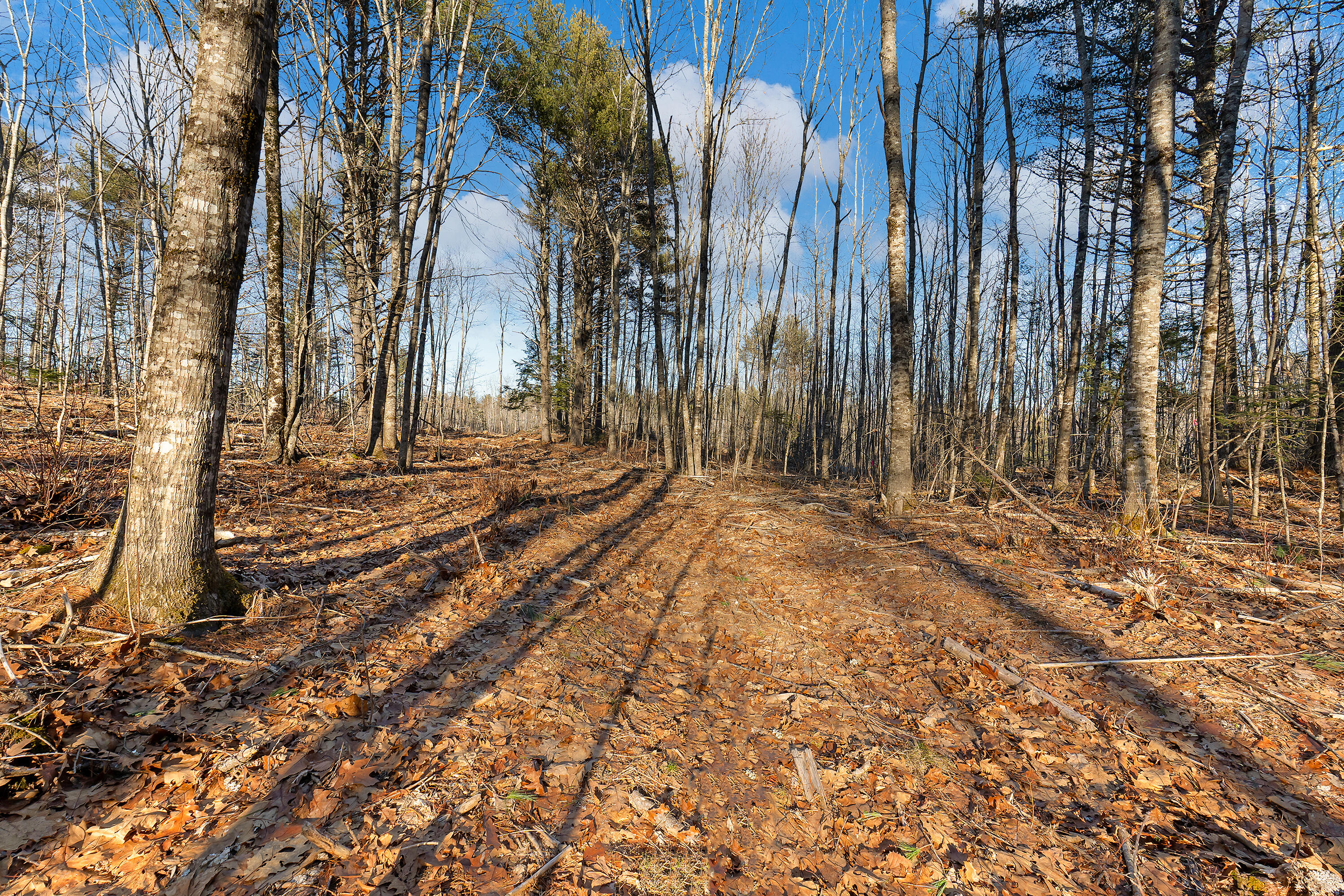 Lot 1 Hostile Valley Road