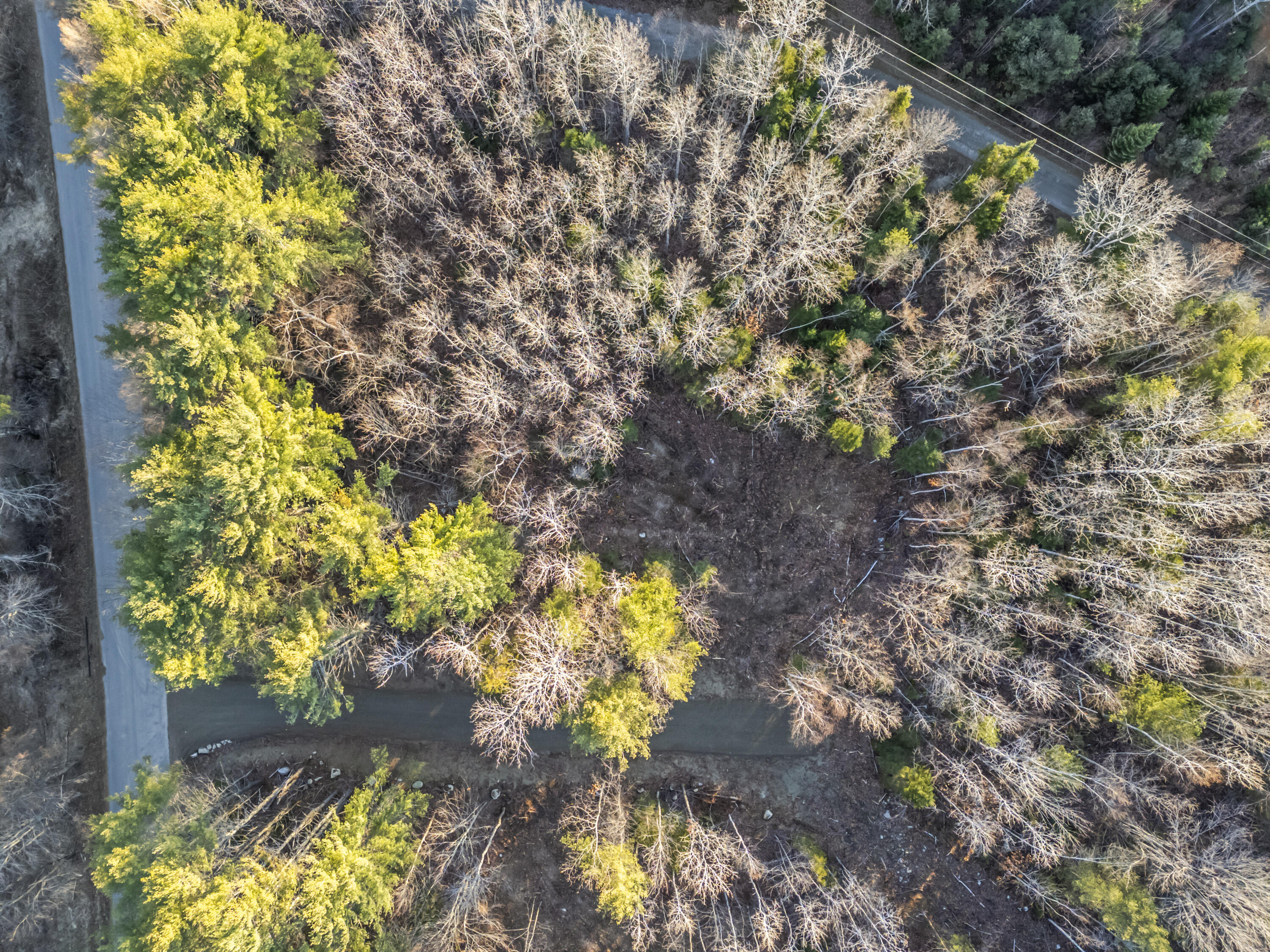 Lot 2 Hostile Valley Road