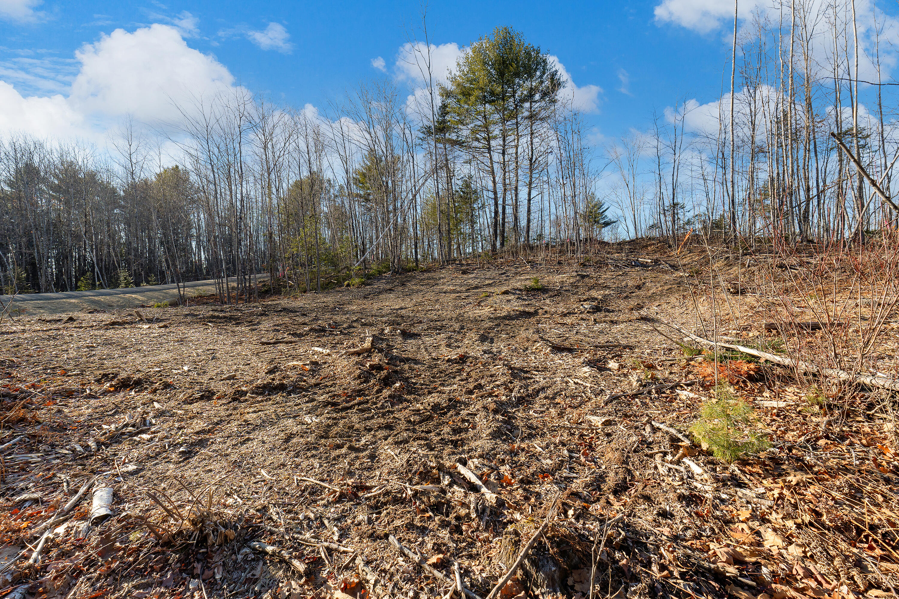 Lot 8 Pine Hill Road