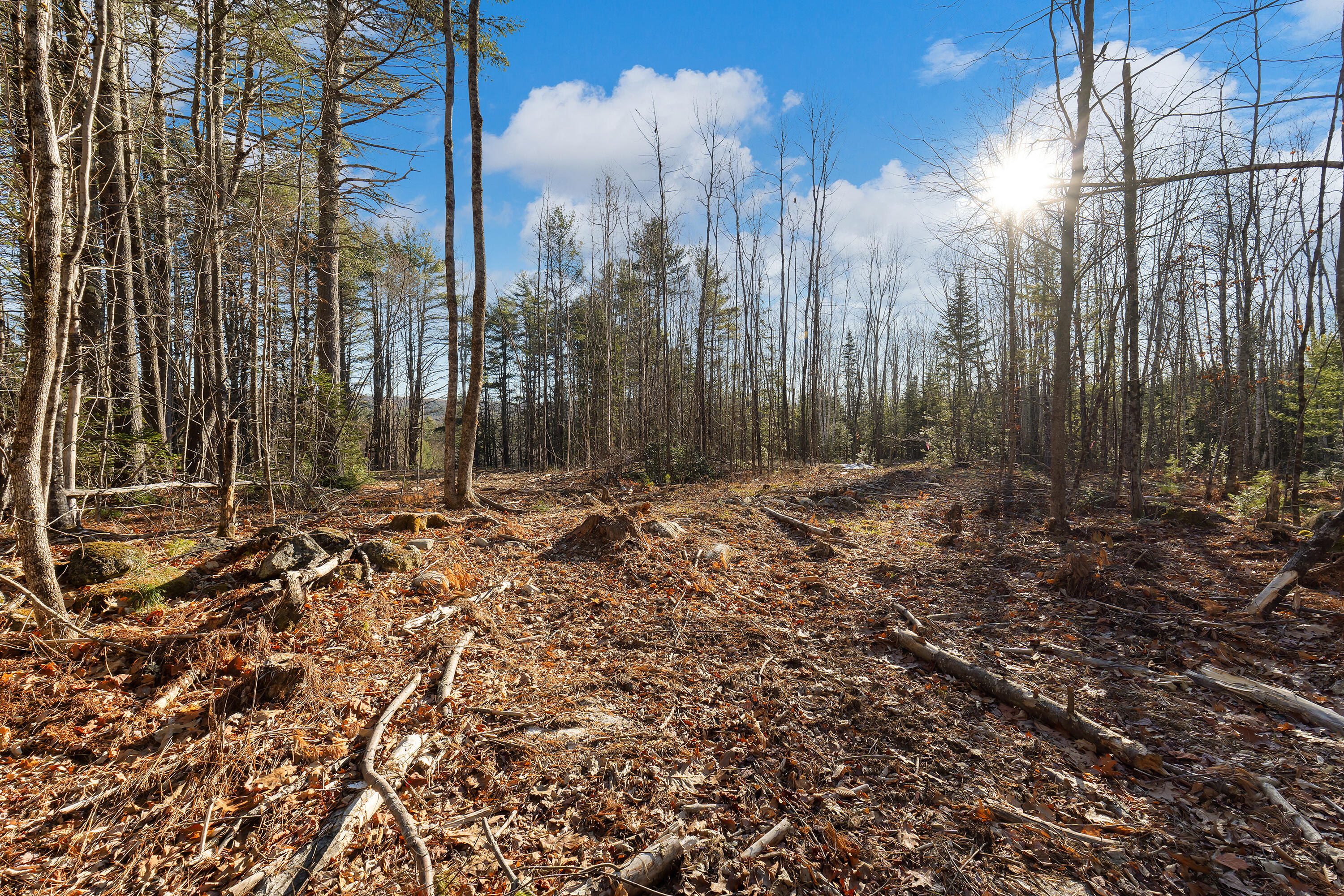 Lot 11 Pine Hill Road