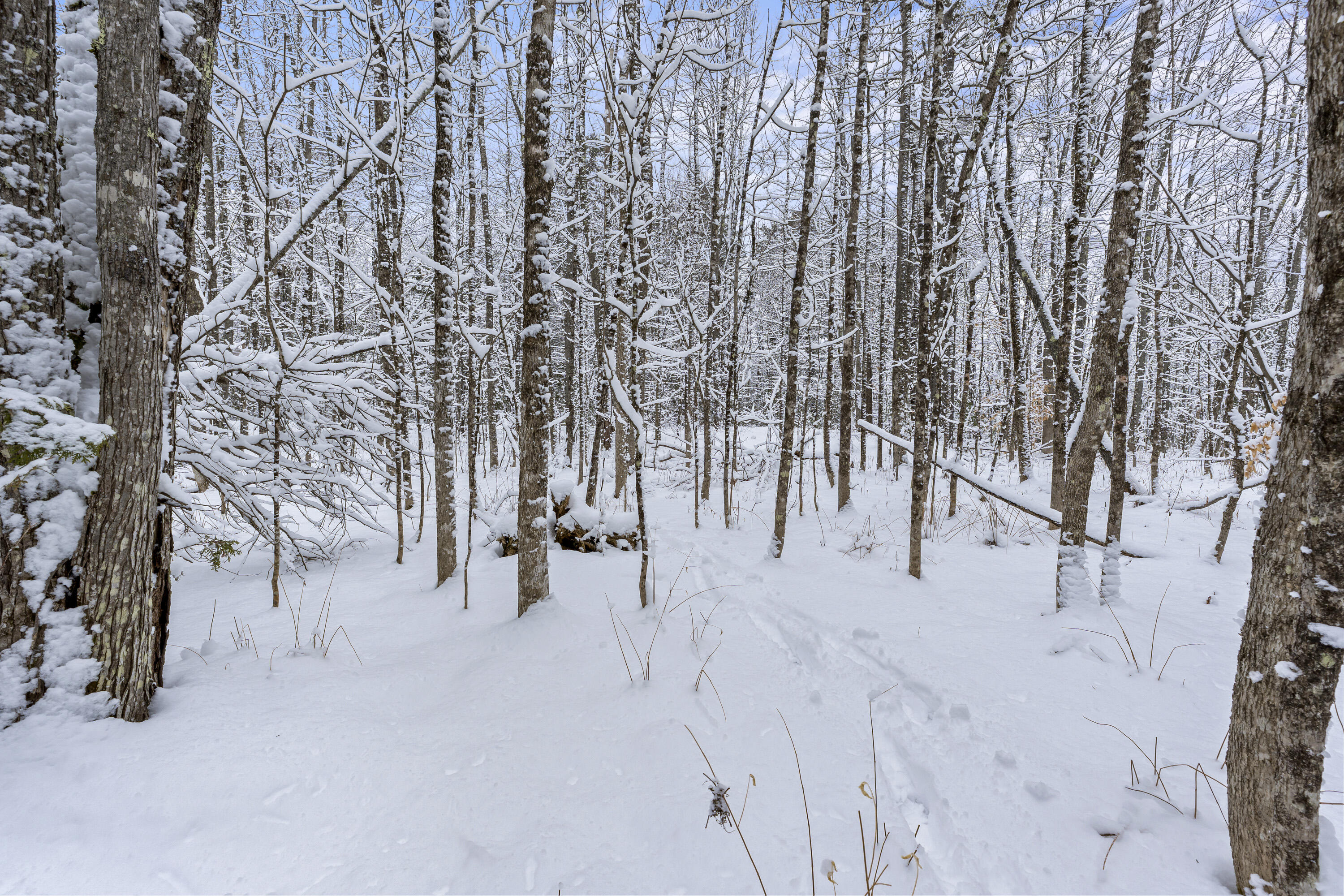 Lot 45-2 Pinewoods Trail