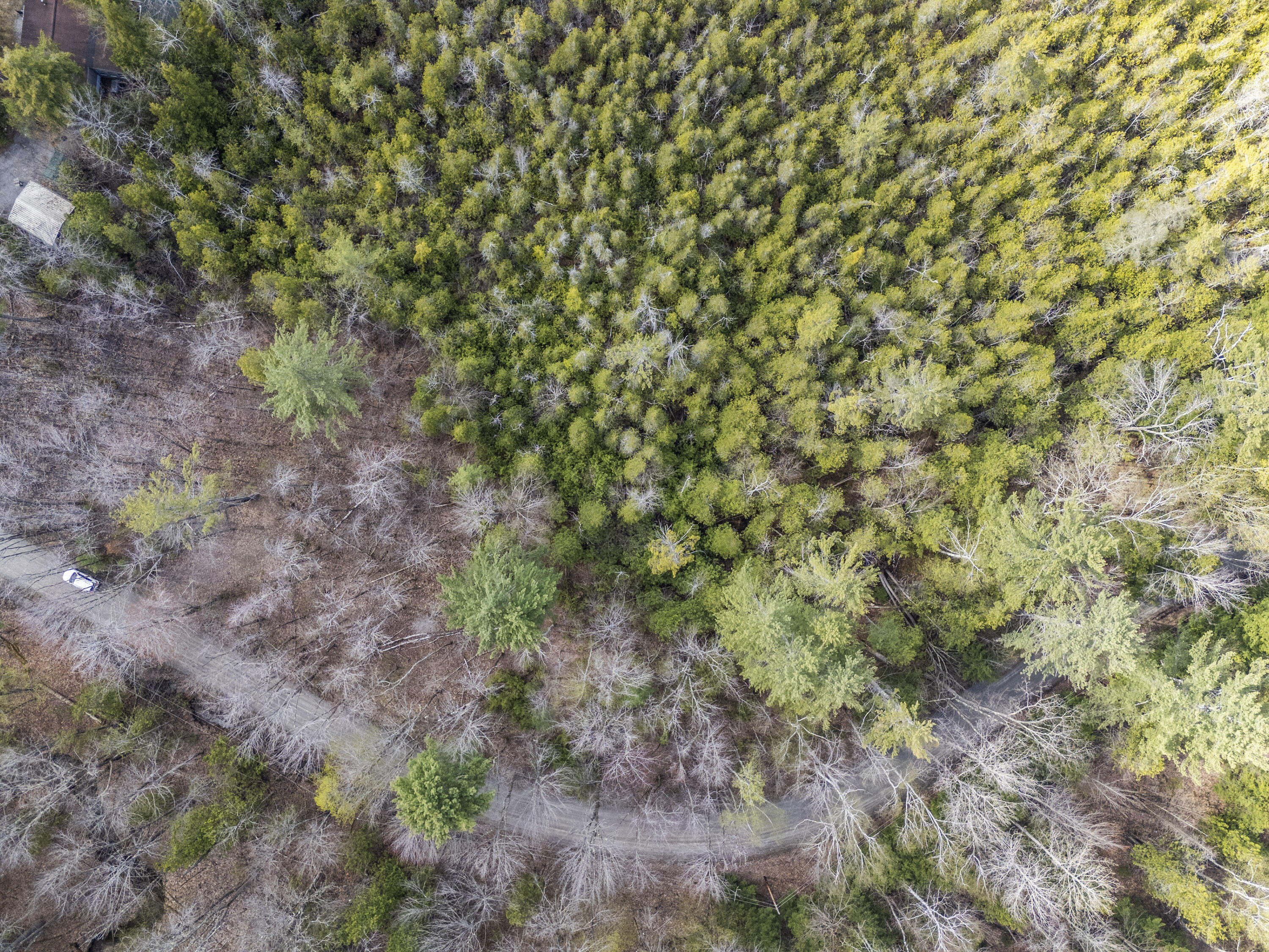 Lot 45-2 Pinewoods Trail