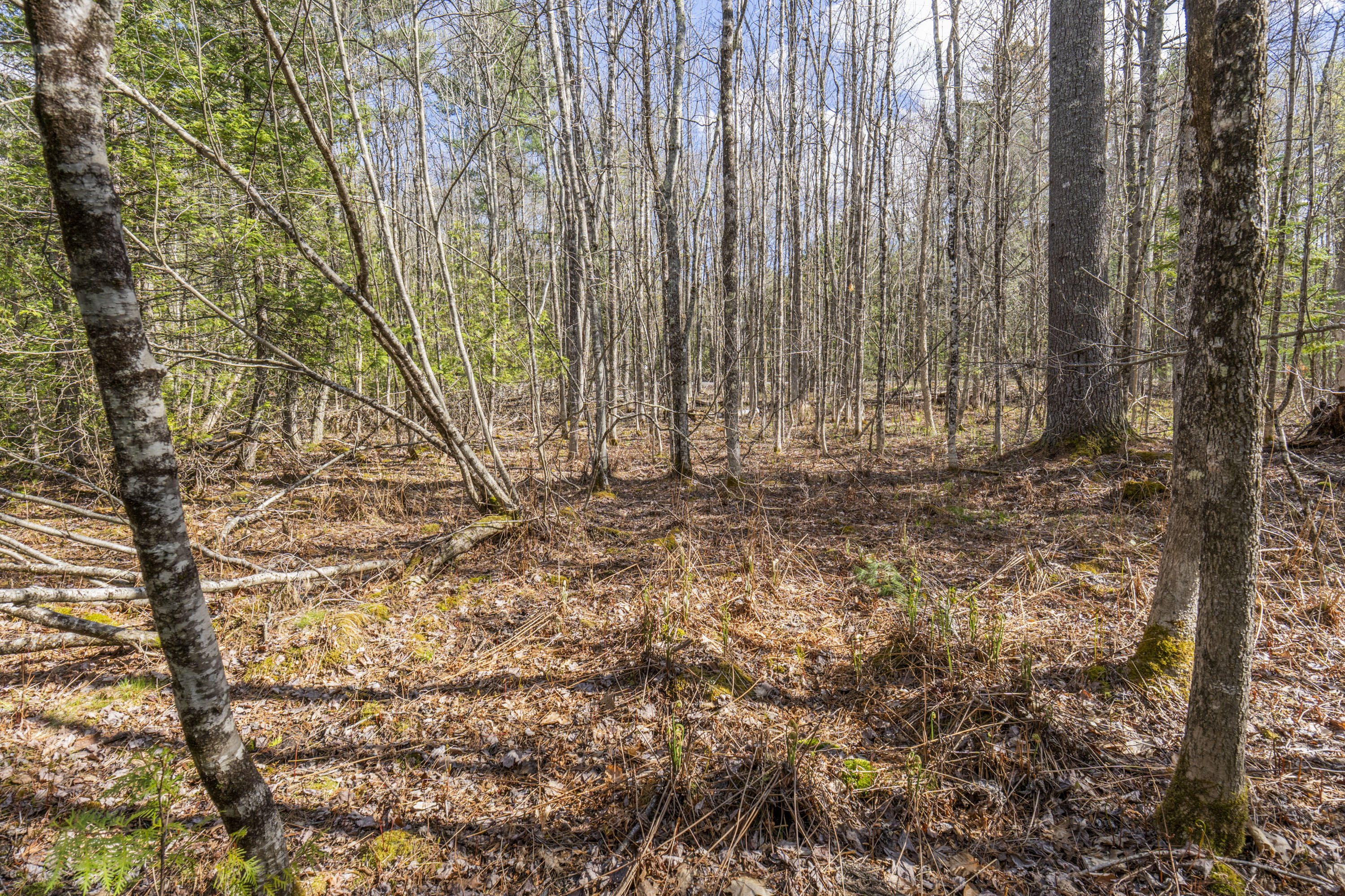 Lot 45-2 Pinewoods Trail