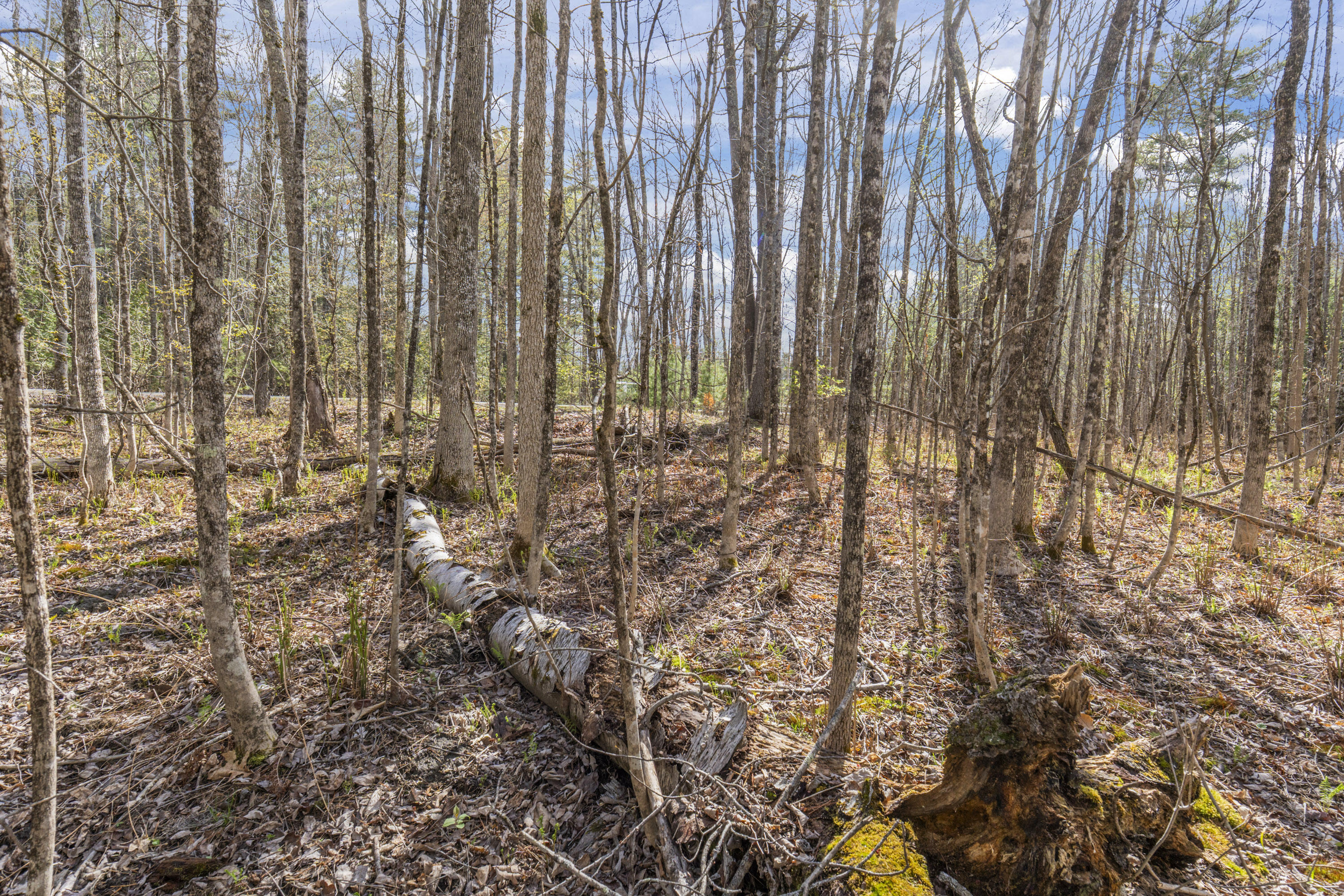 Lot 45-2 Pinewoods Trail