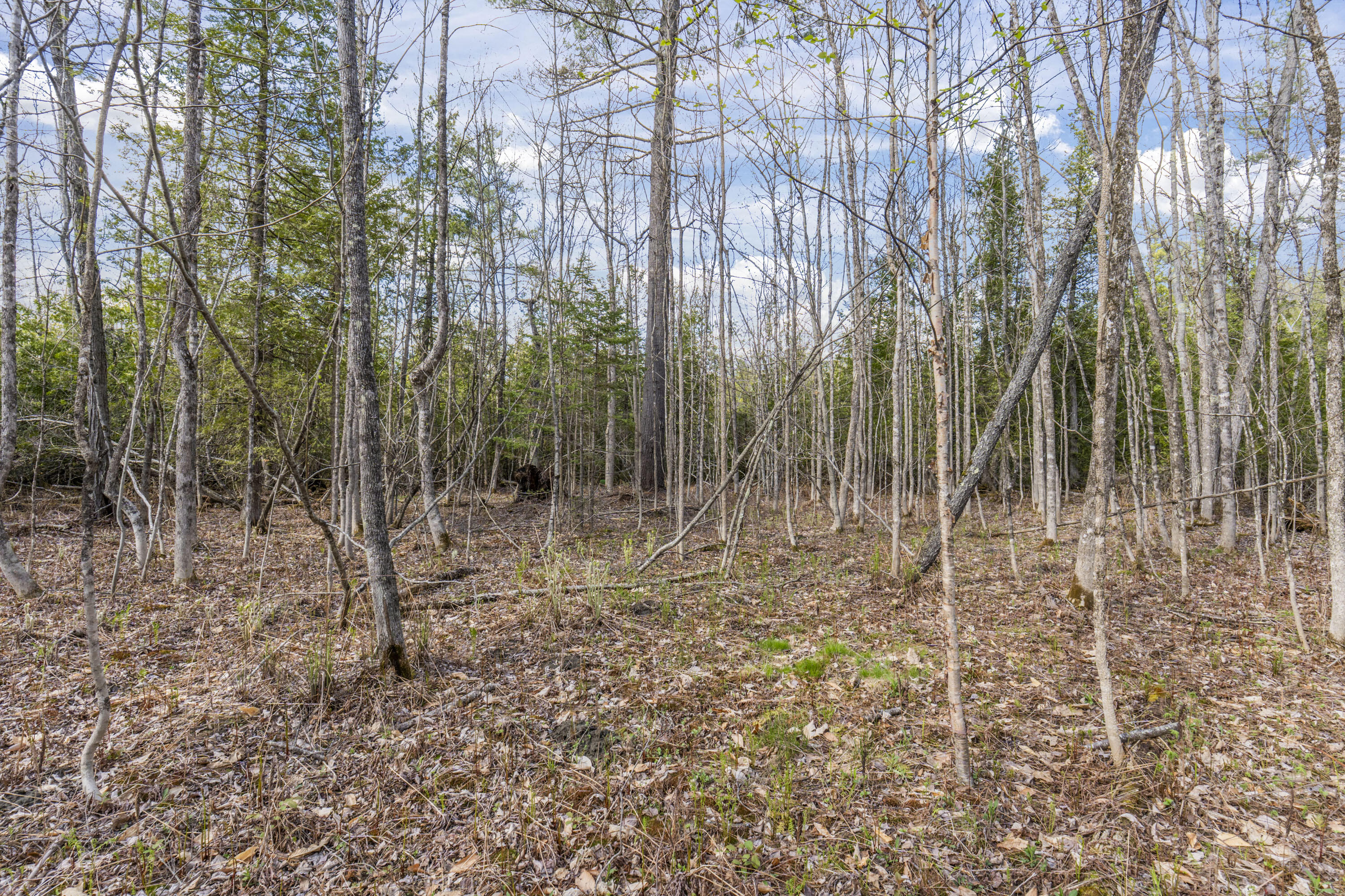 Lot 45-2 Pinewoods Trail