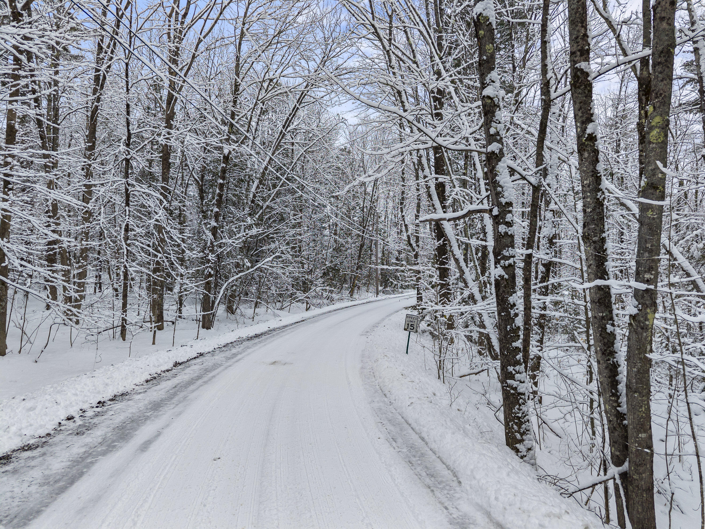 Lot 45-2 Pinewoods Trail