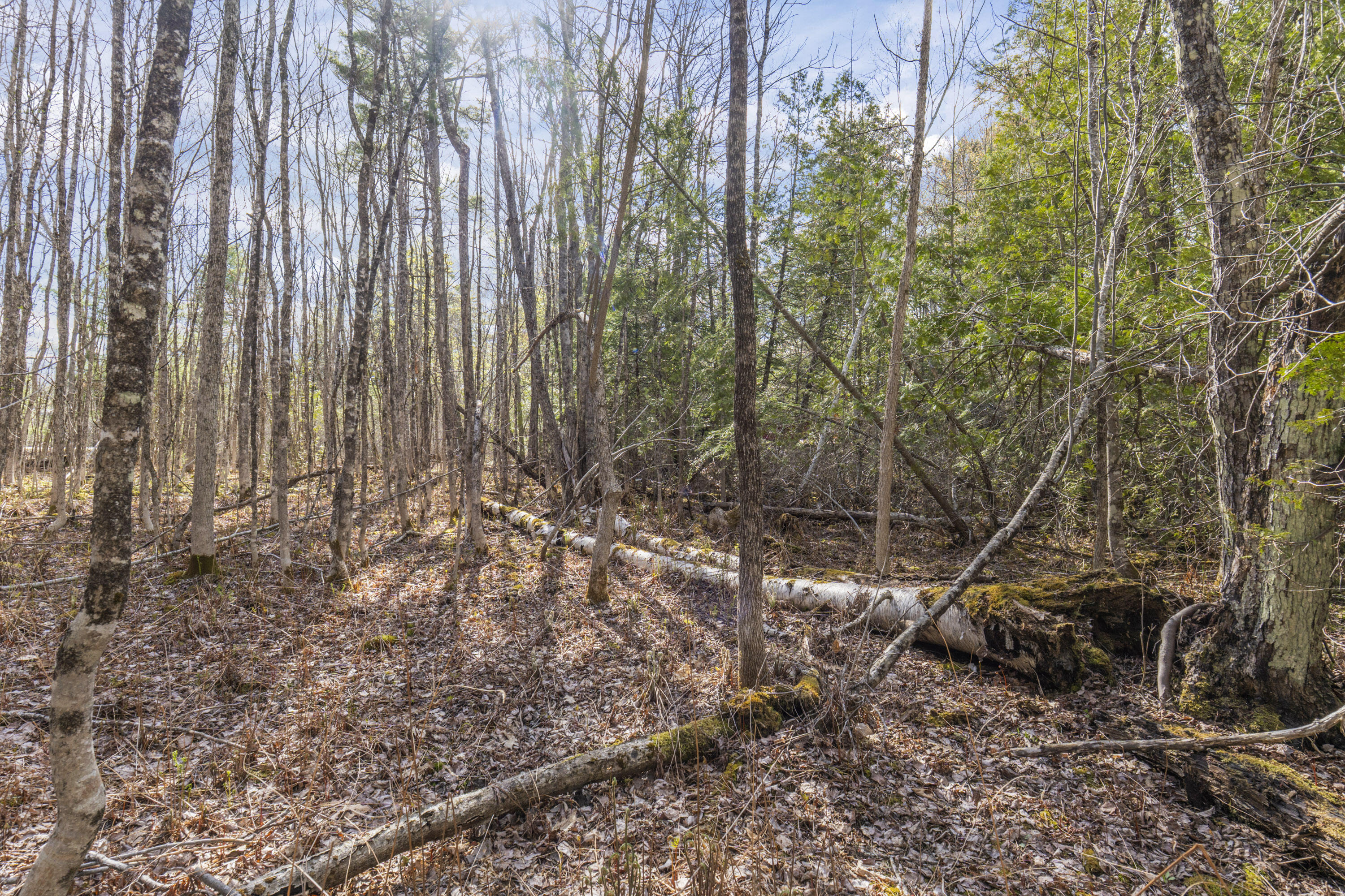 Lot 45-2 Pinewoods Trail
