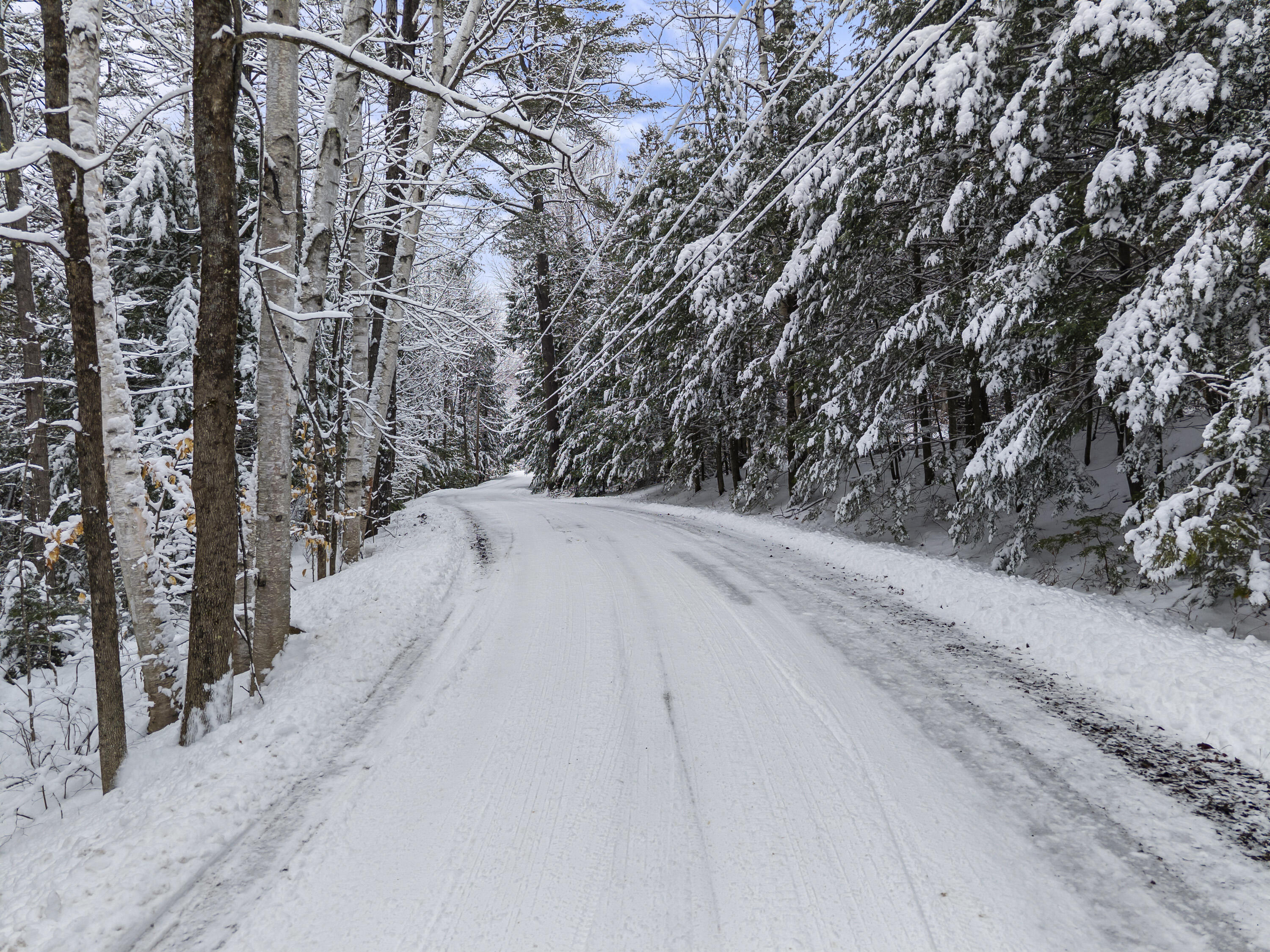 Lot 45-2 Pinewoods Trail