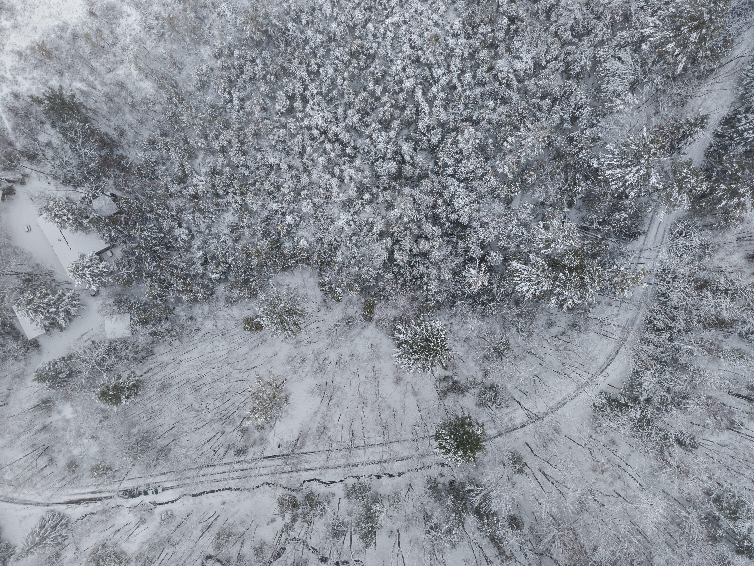 Lot 45-2 Pinewoods Trail