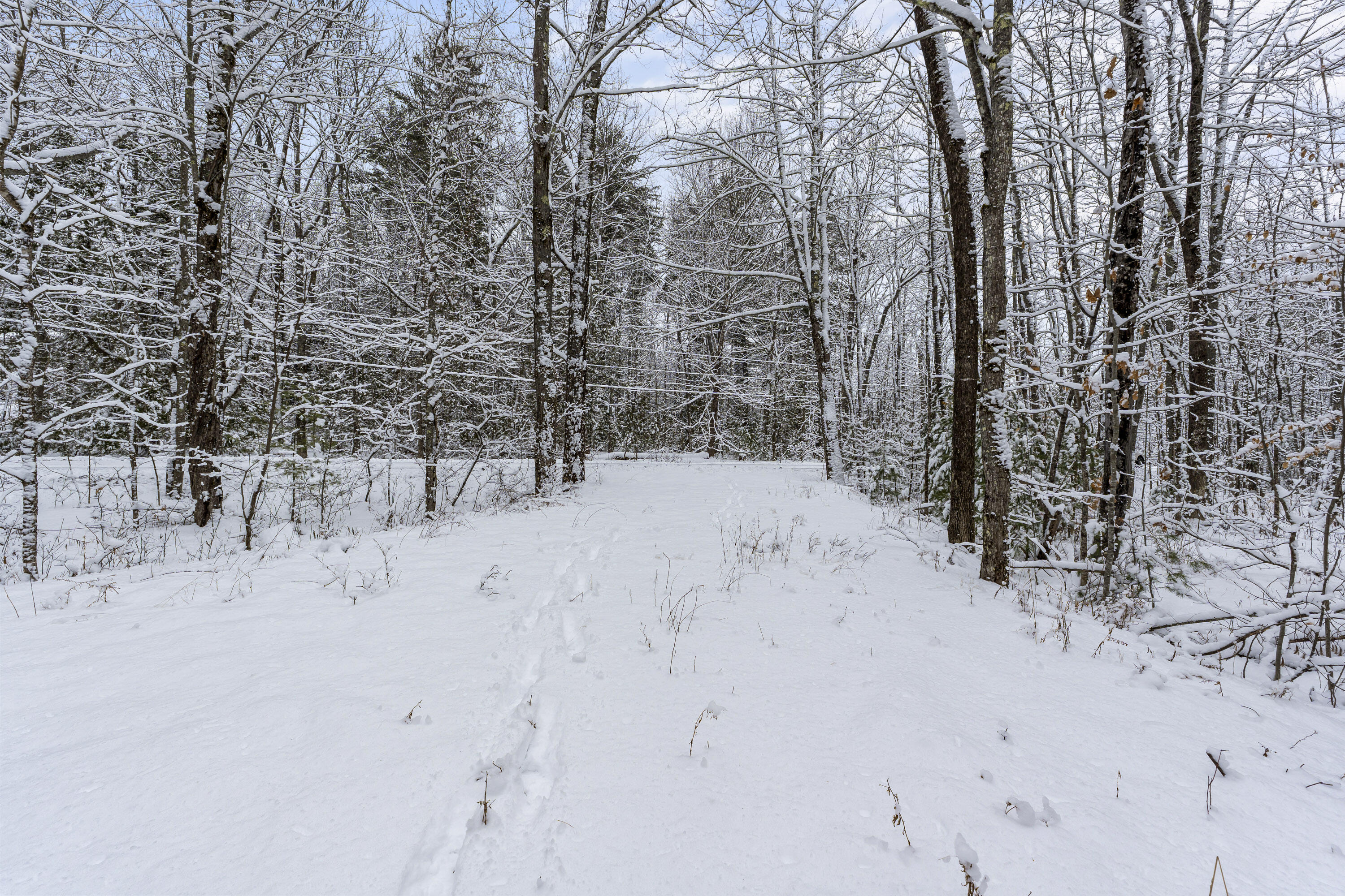 Lot 45-2 Pinewoods Trail