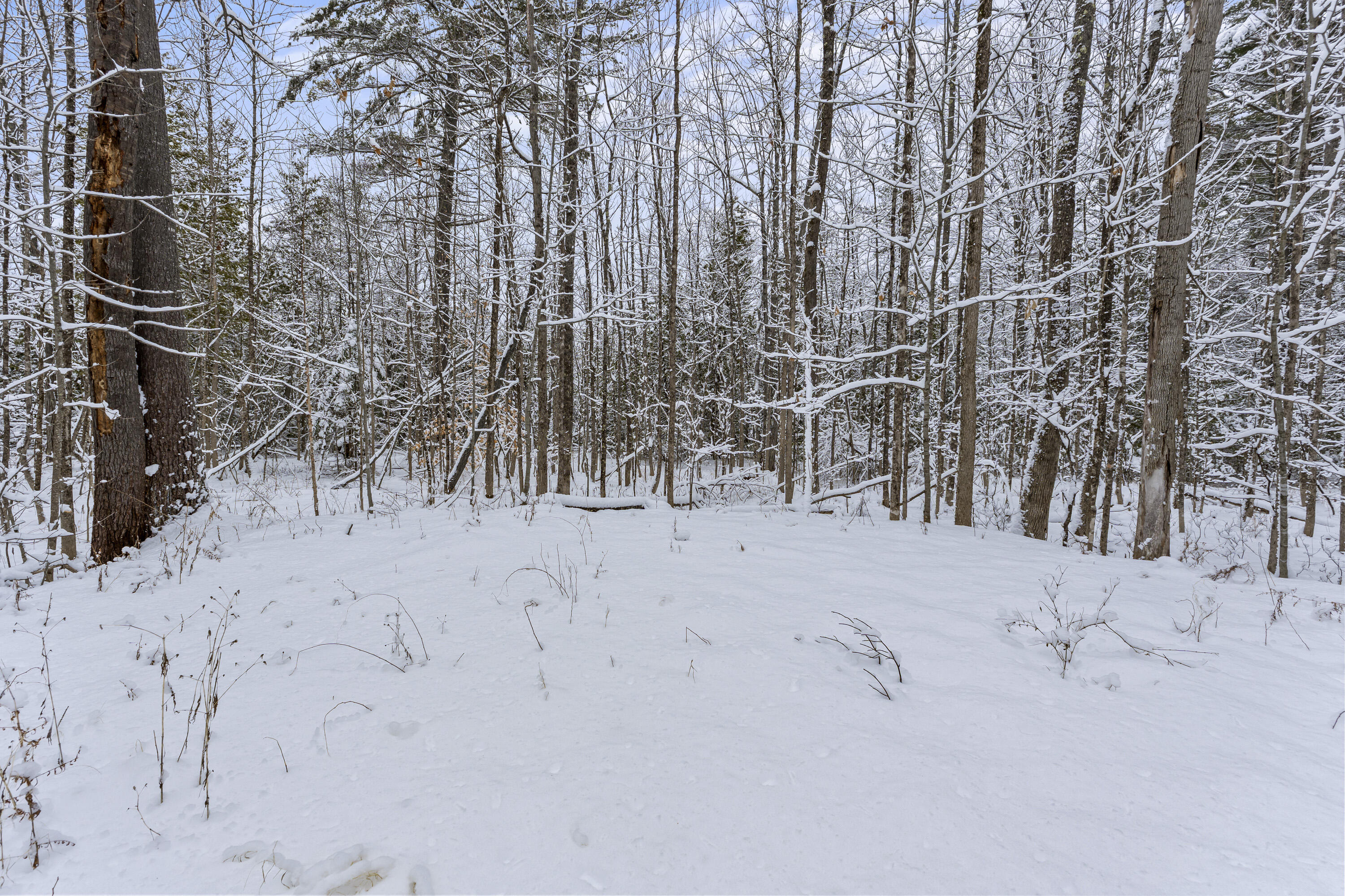 Lot 45-2 Pinewoods Trail