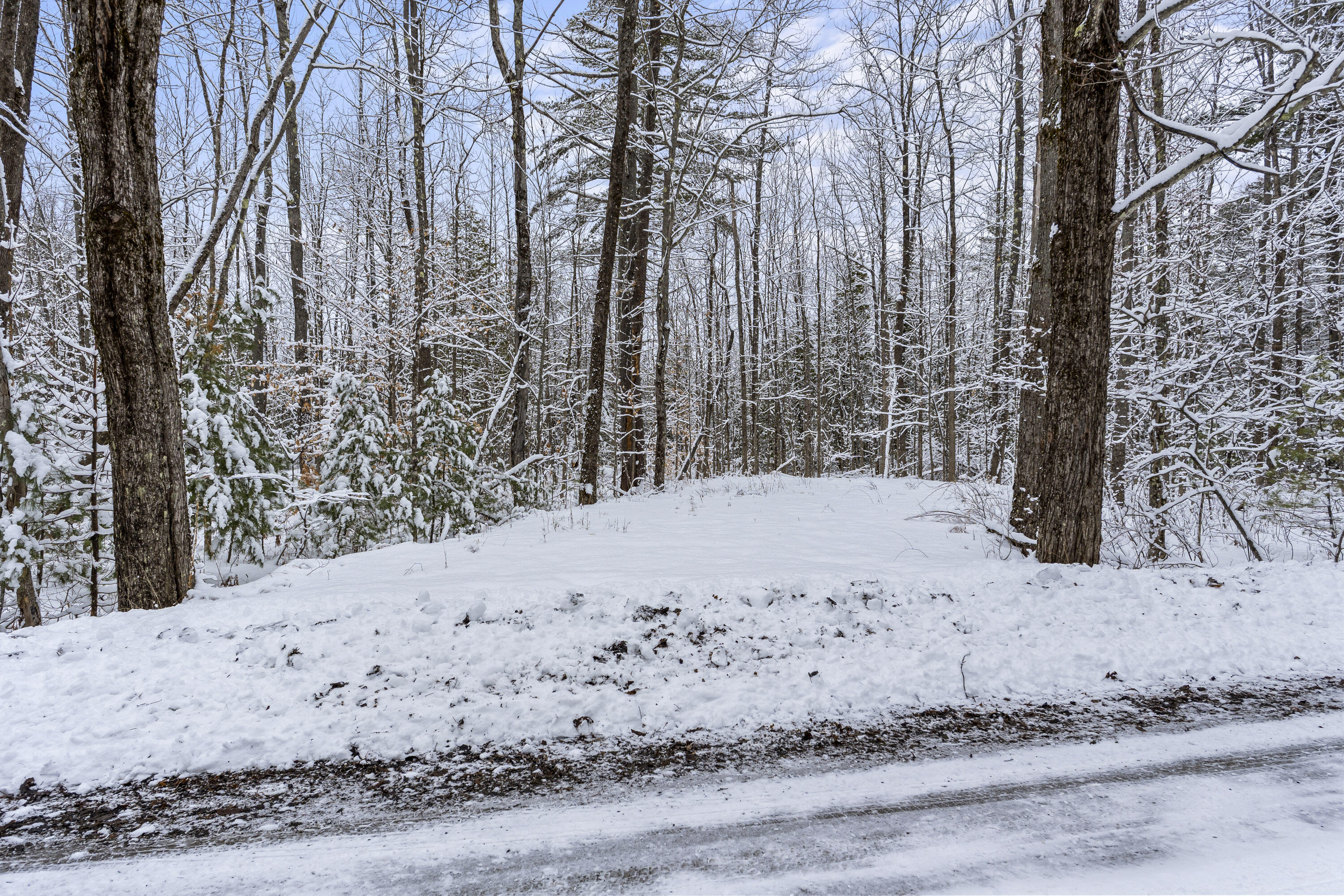 Lot 45-2 Pinewoods Trail