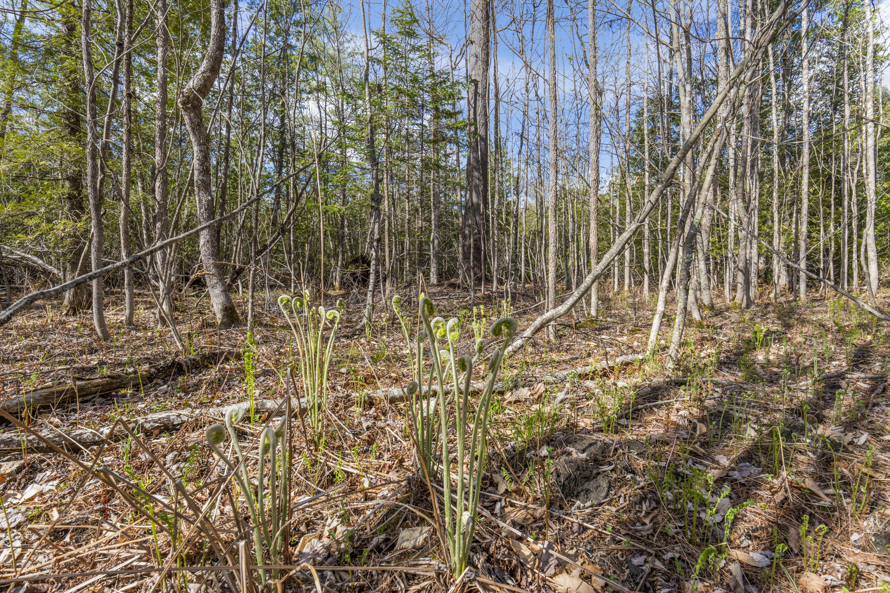 Lot 45-2 Pinewoods Trail