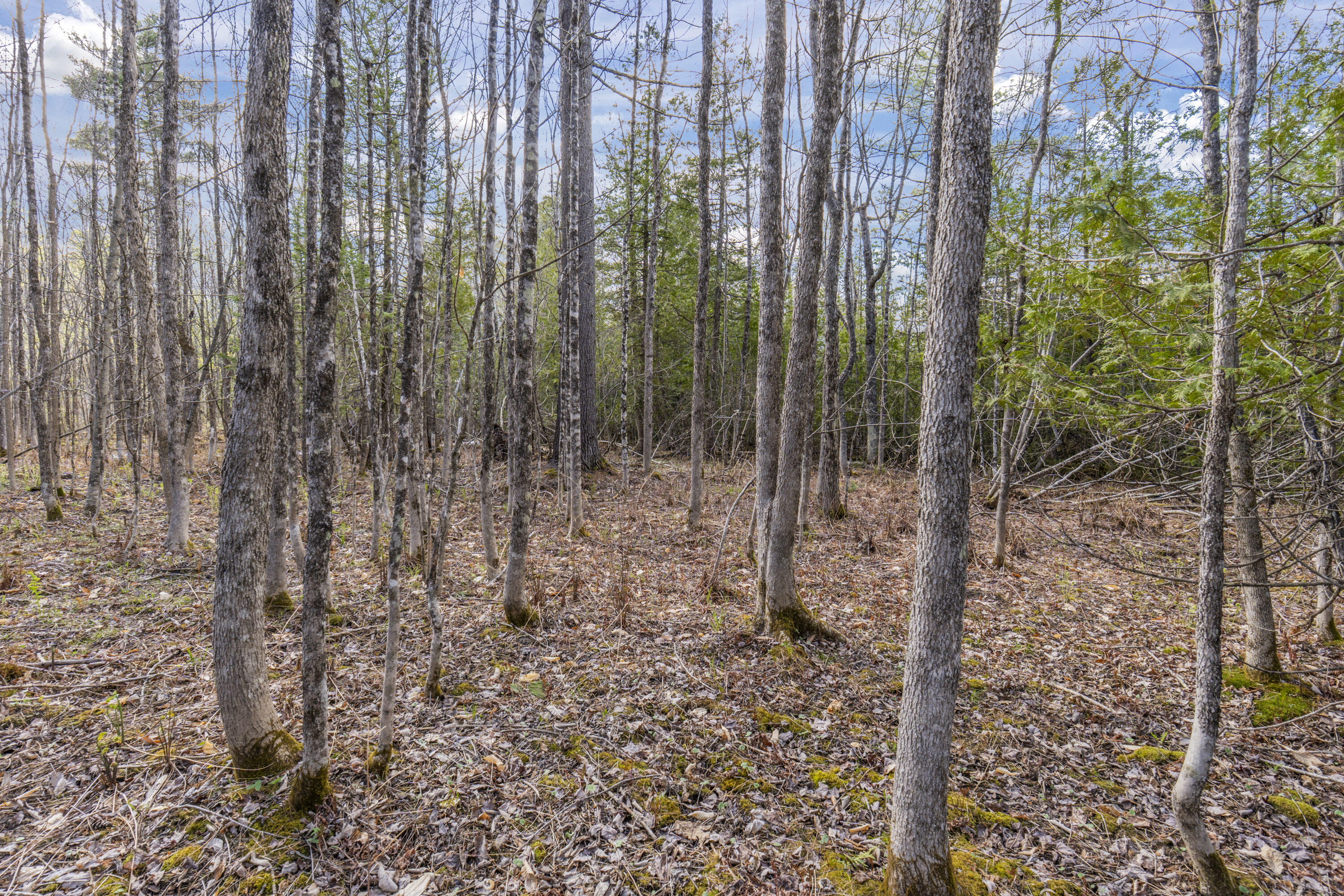 Lot 45-2 Pinewoods Trail
