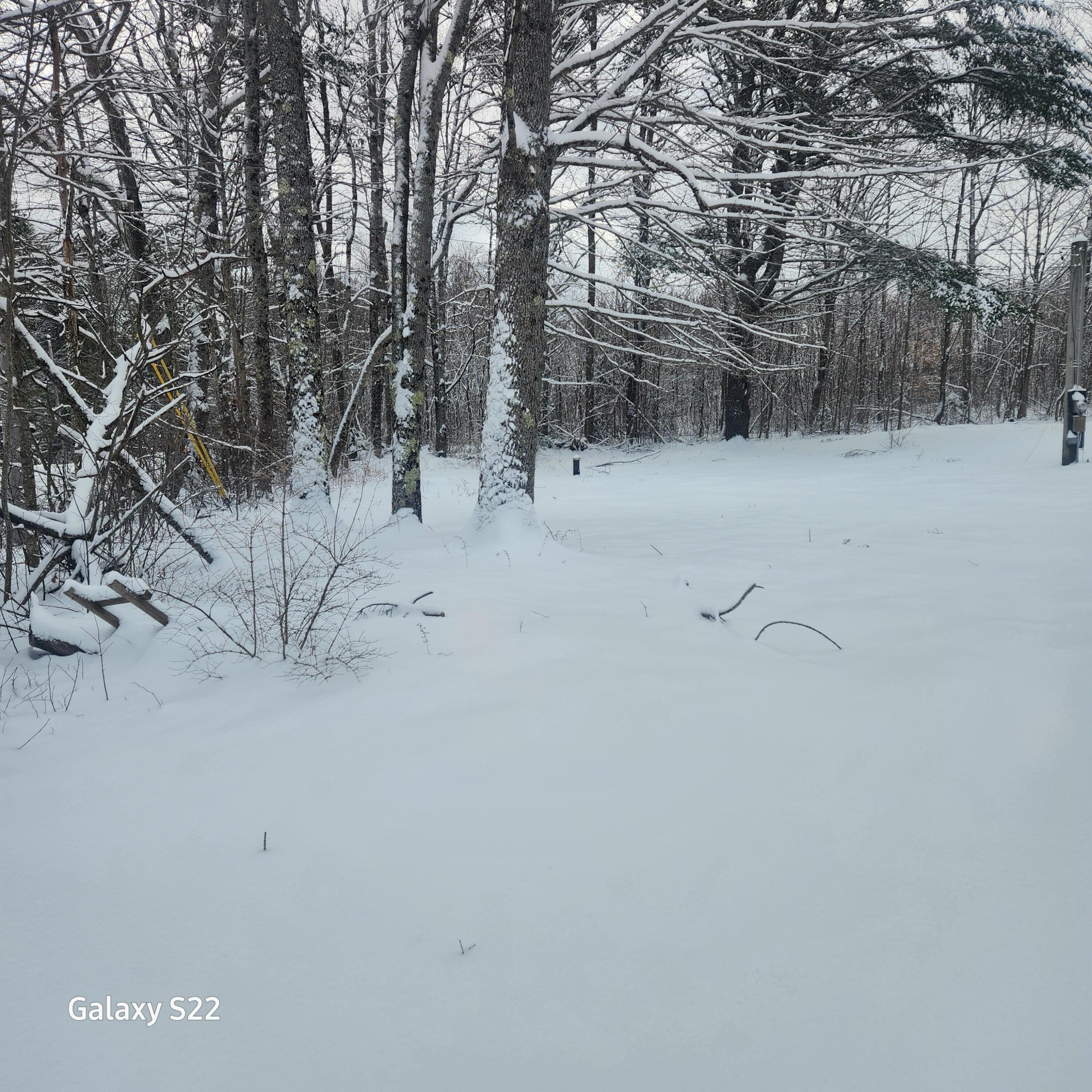 286 Doyle Road