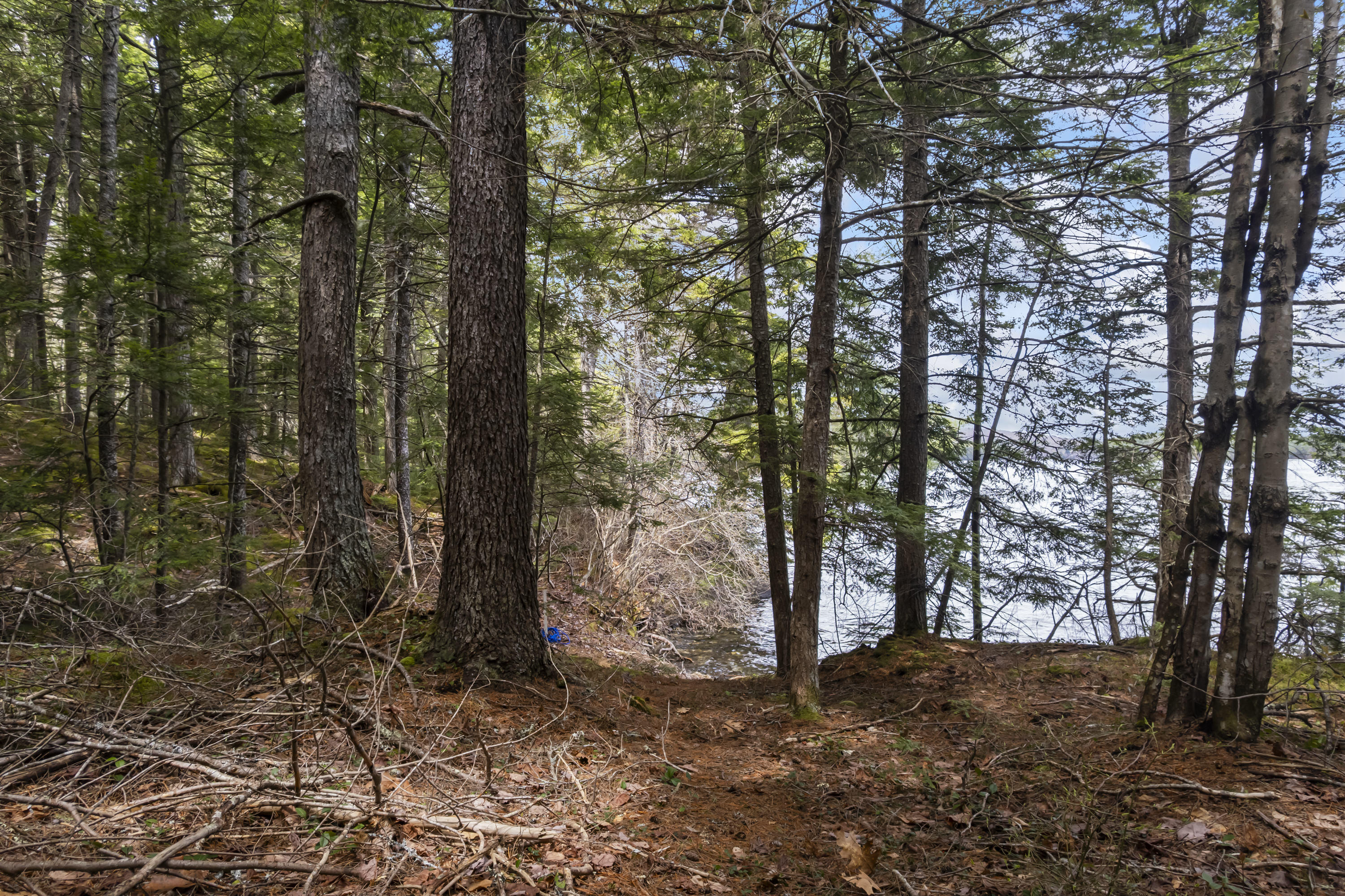 Lot 15B Lake Access Only Southend