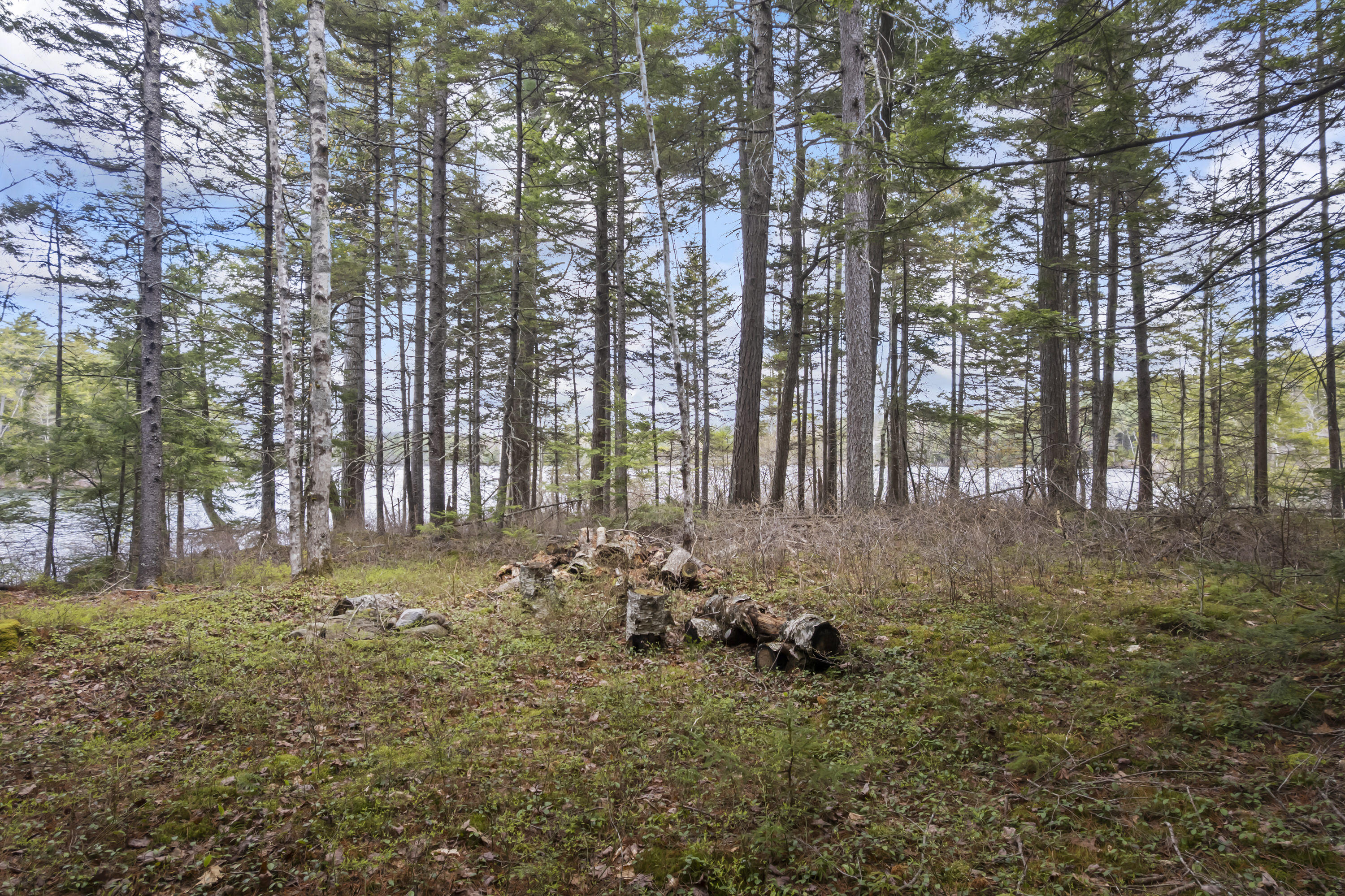 Lot 15B Lake Access Only Southend