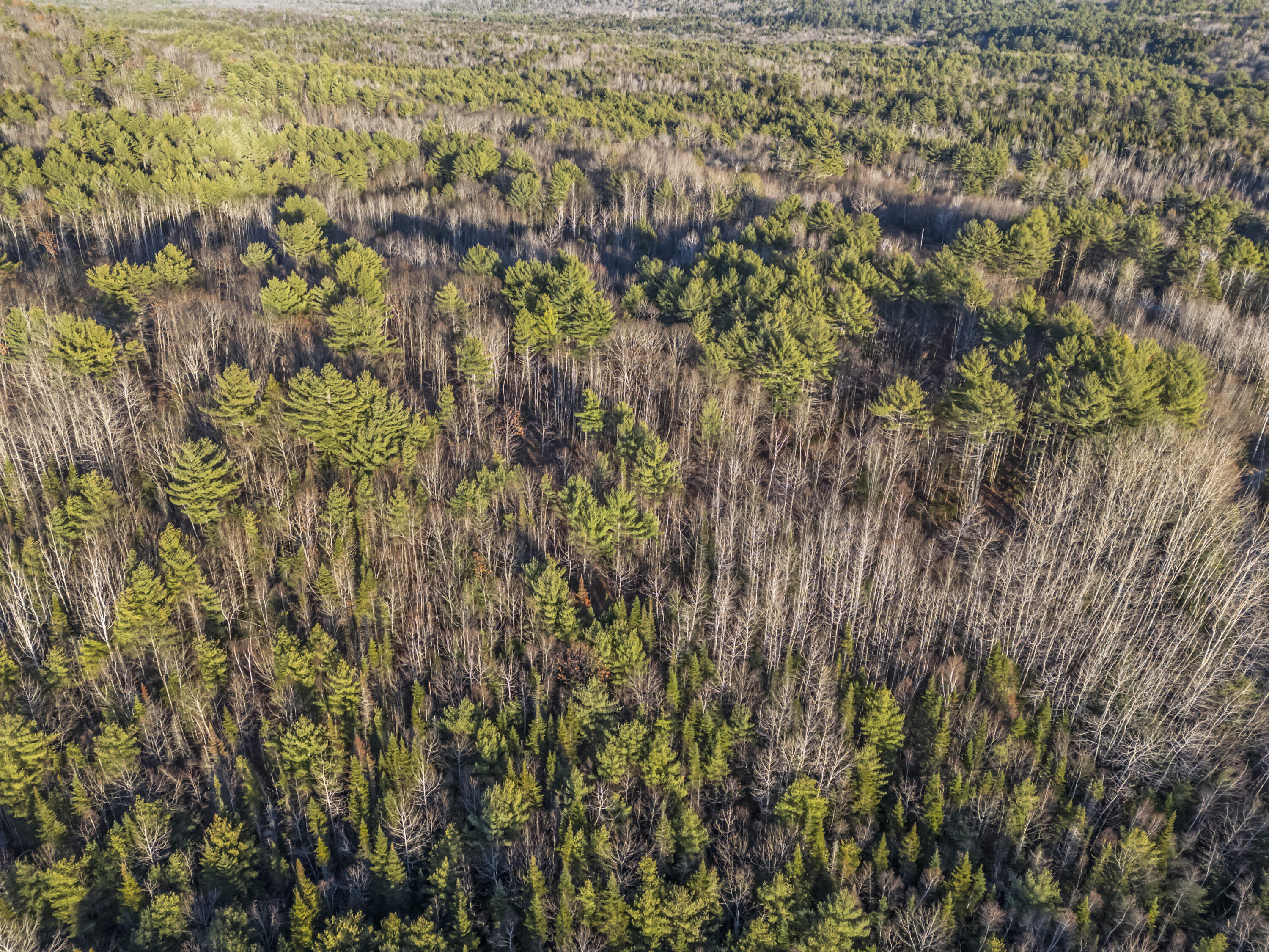 Lot 1 Hostile Valley Road
