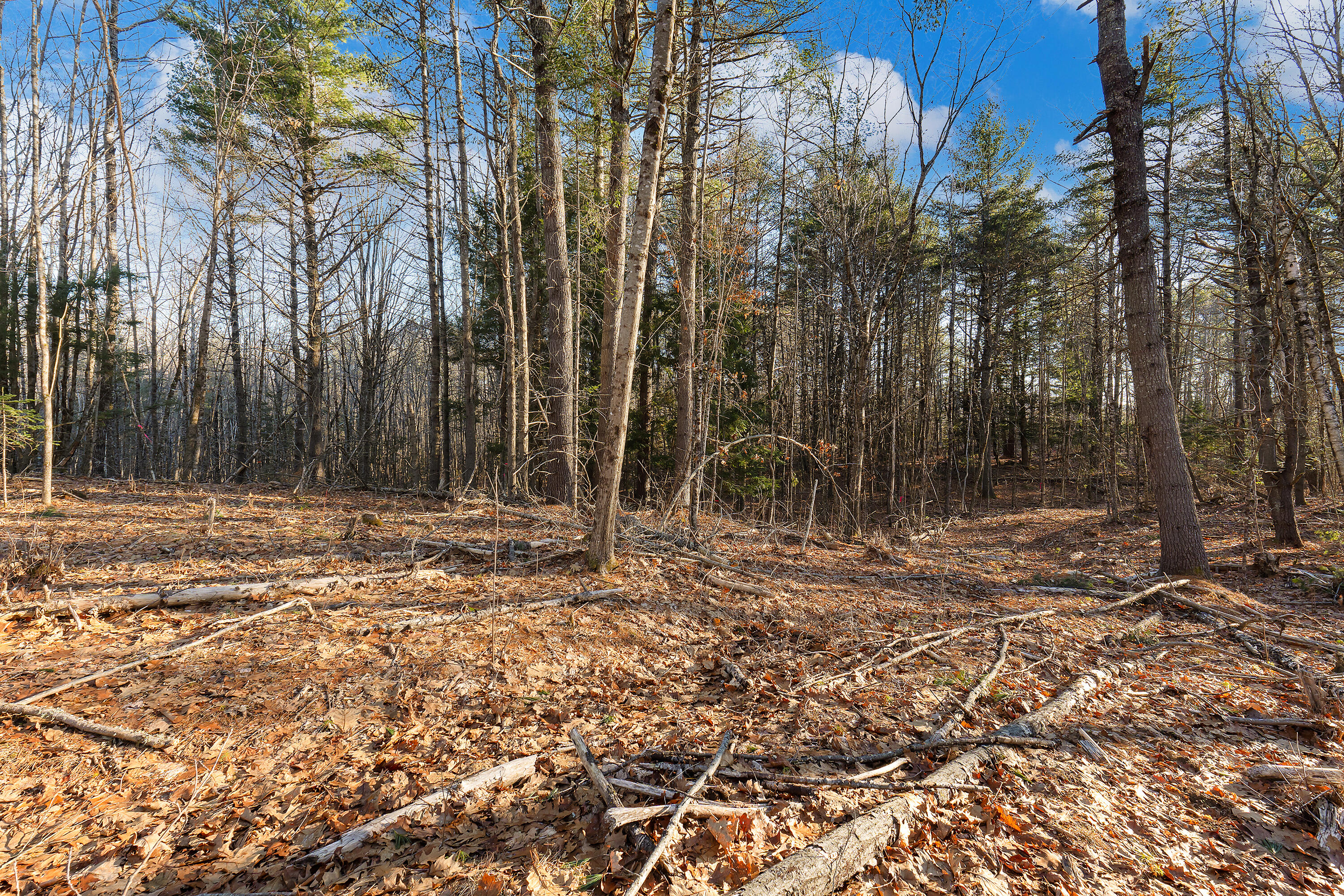 Lot 1 Hostile Valley Road