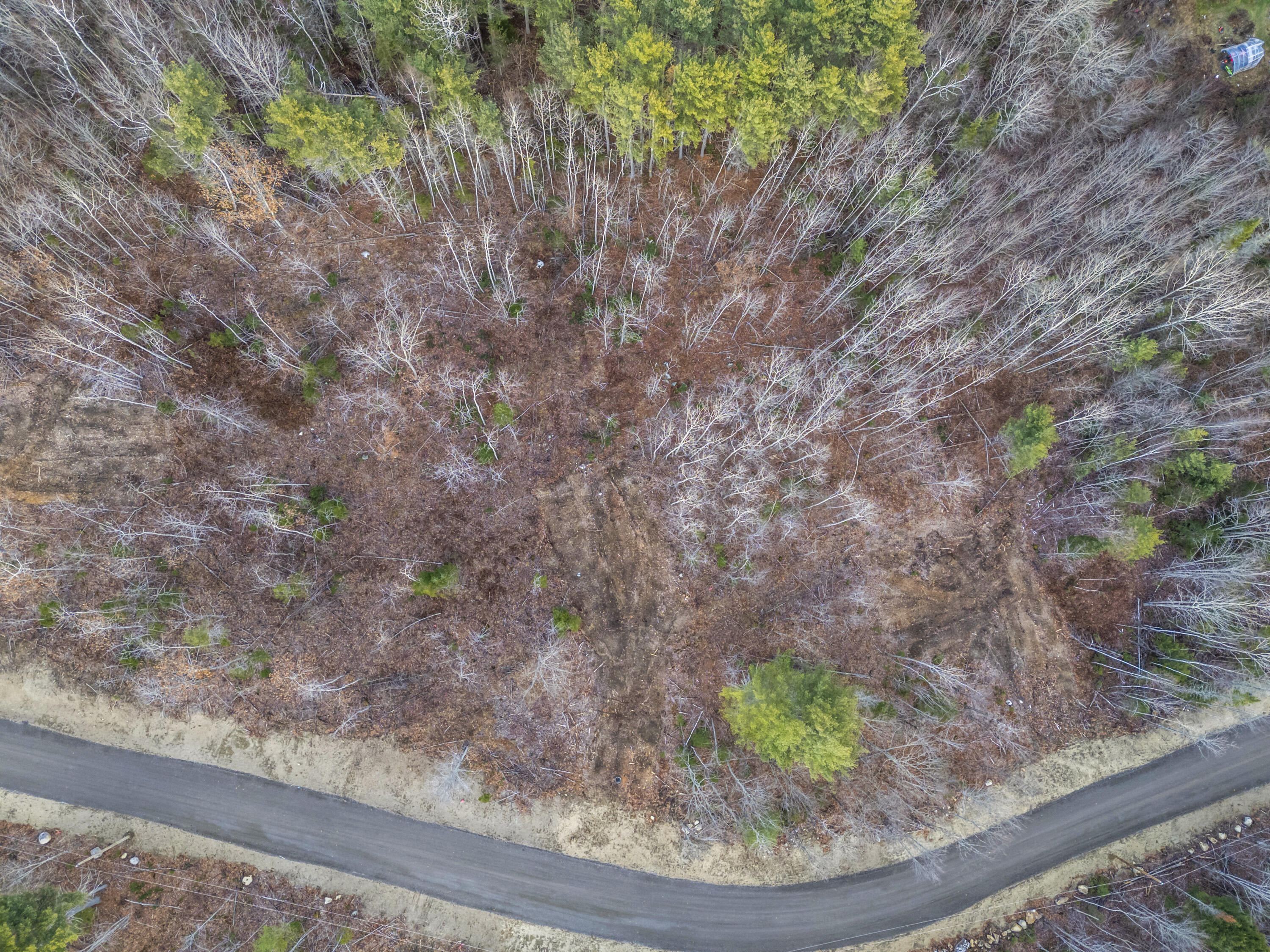 Lot 9 Pine Hill Road