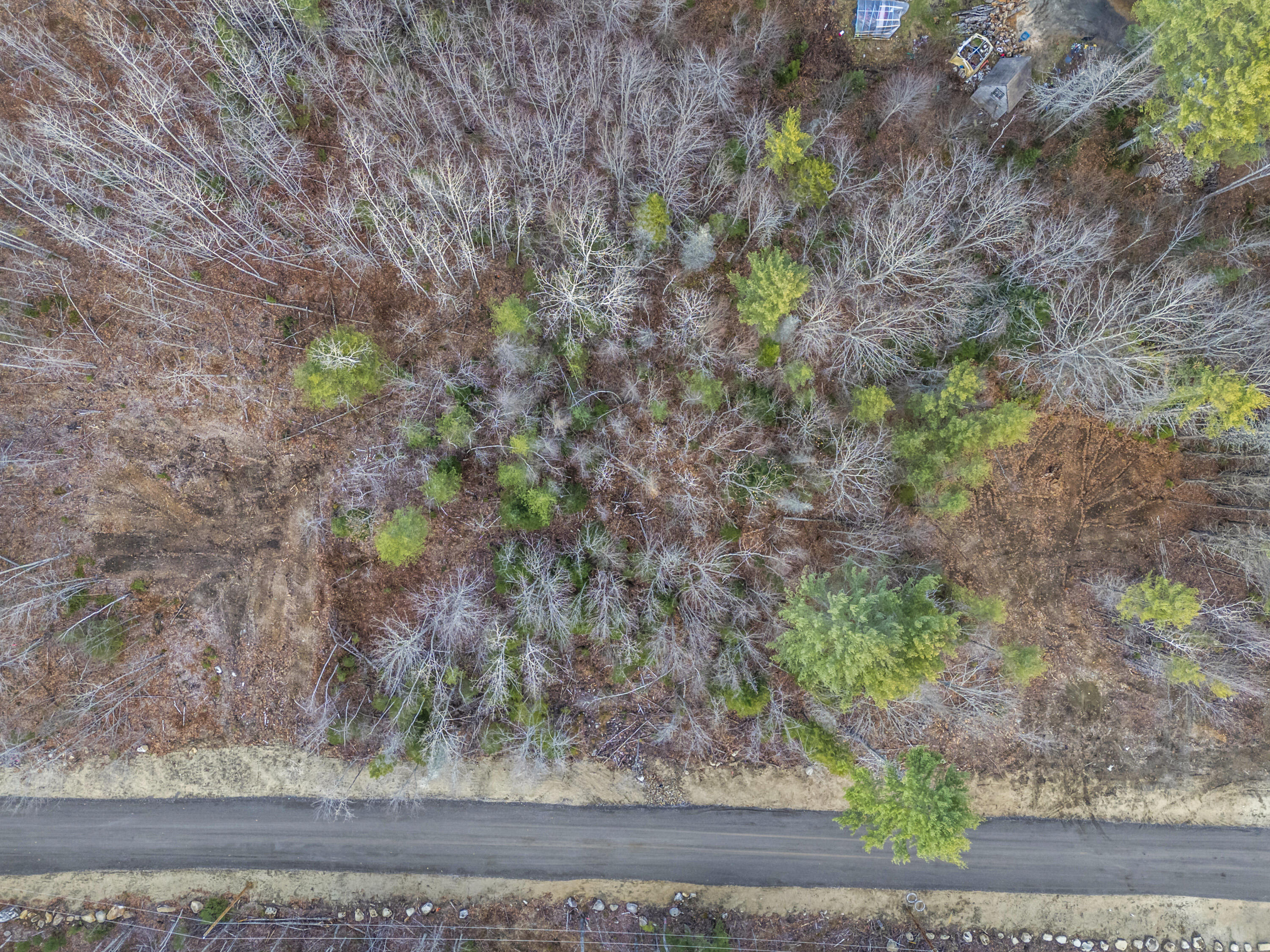 Lot 10 Pine Hill Road