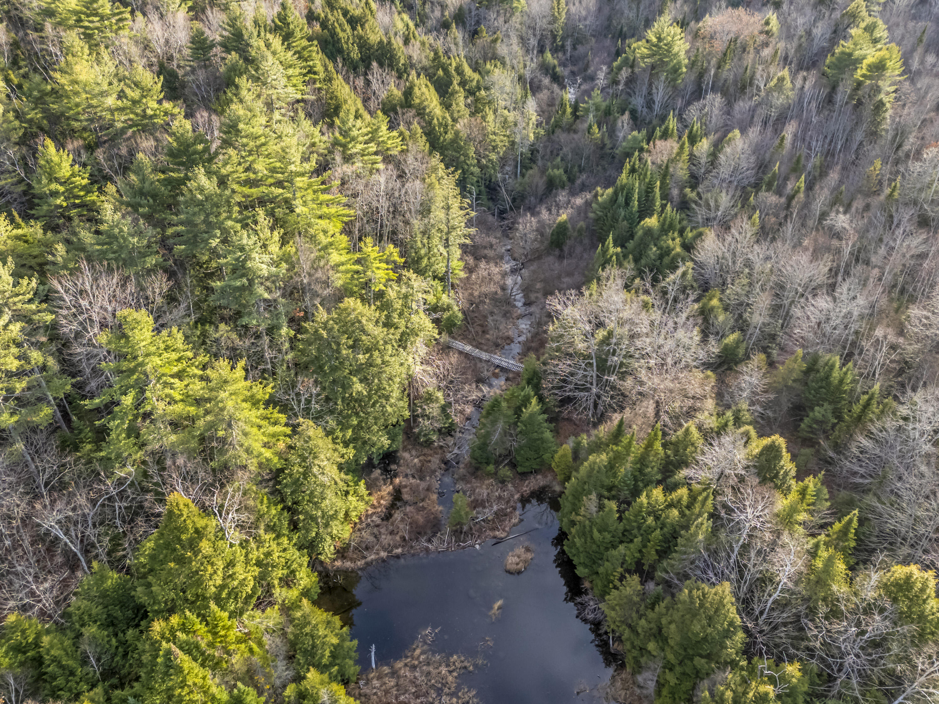 Lot 10 Pine Hill Road
