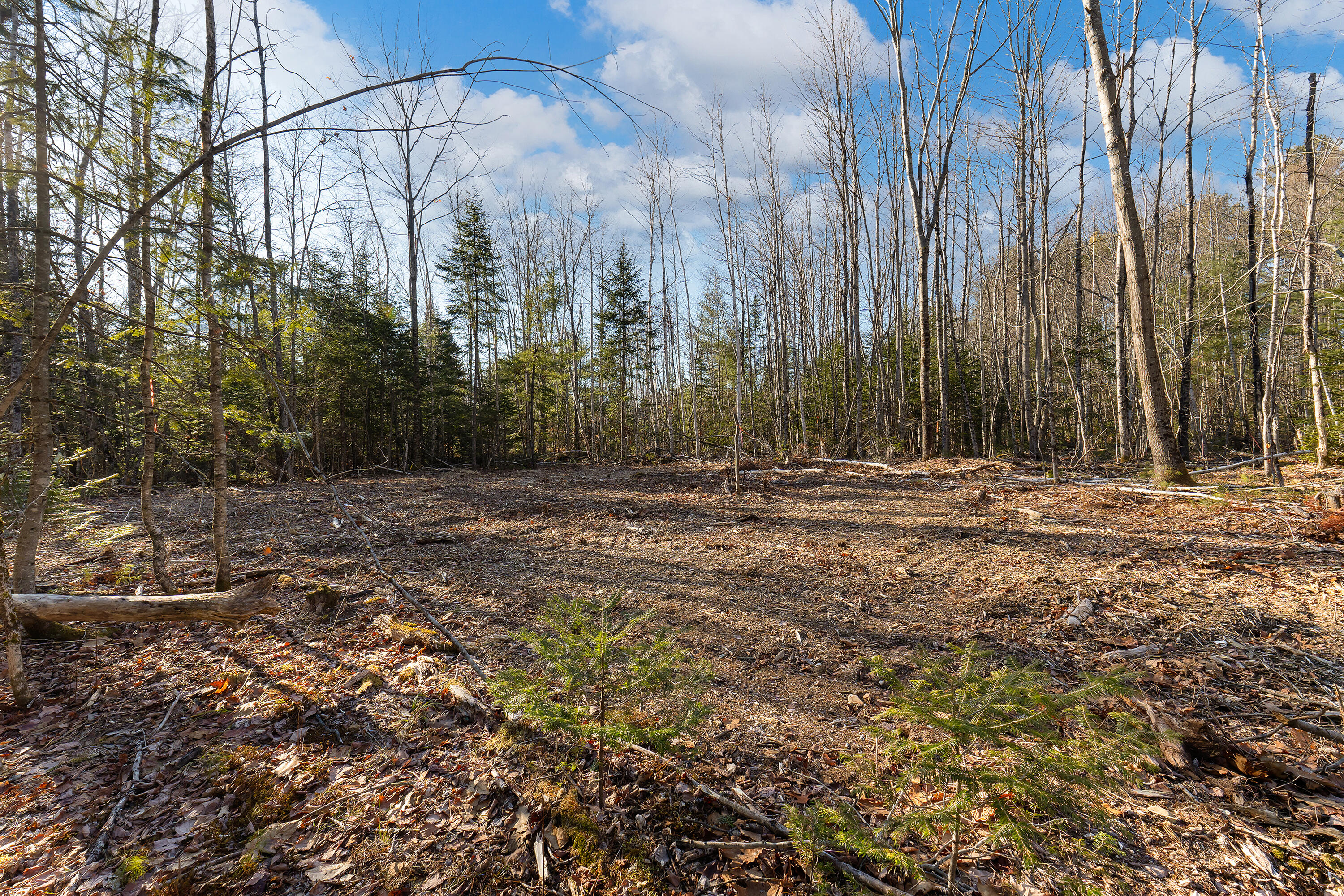 Lot 10 Pine Hill Road
