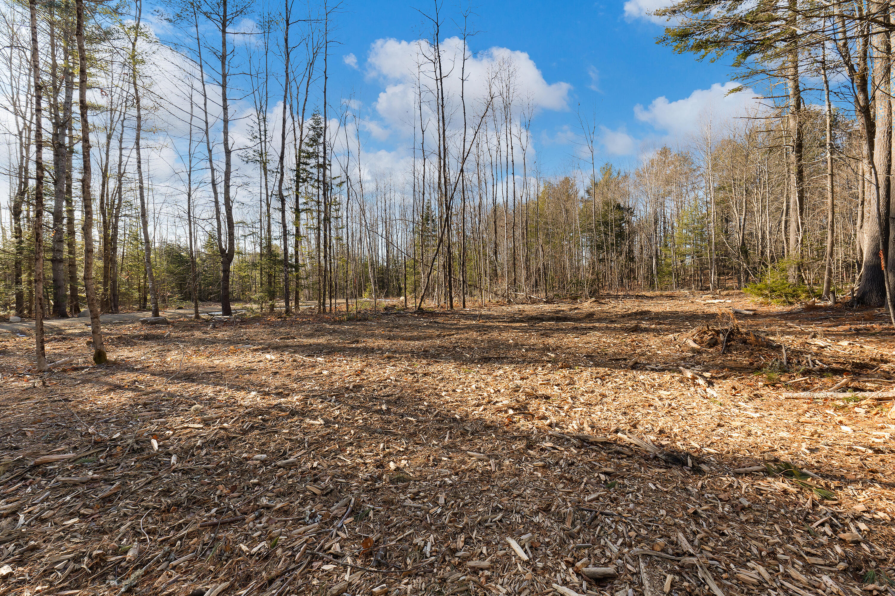 Lot 11 Pine Hill Road