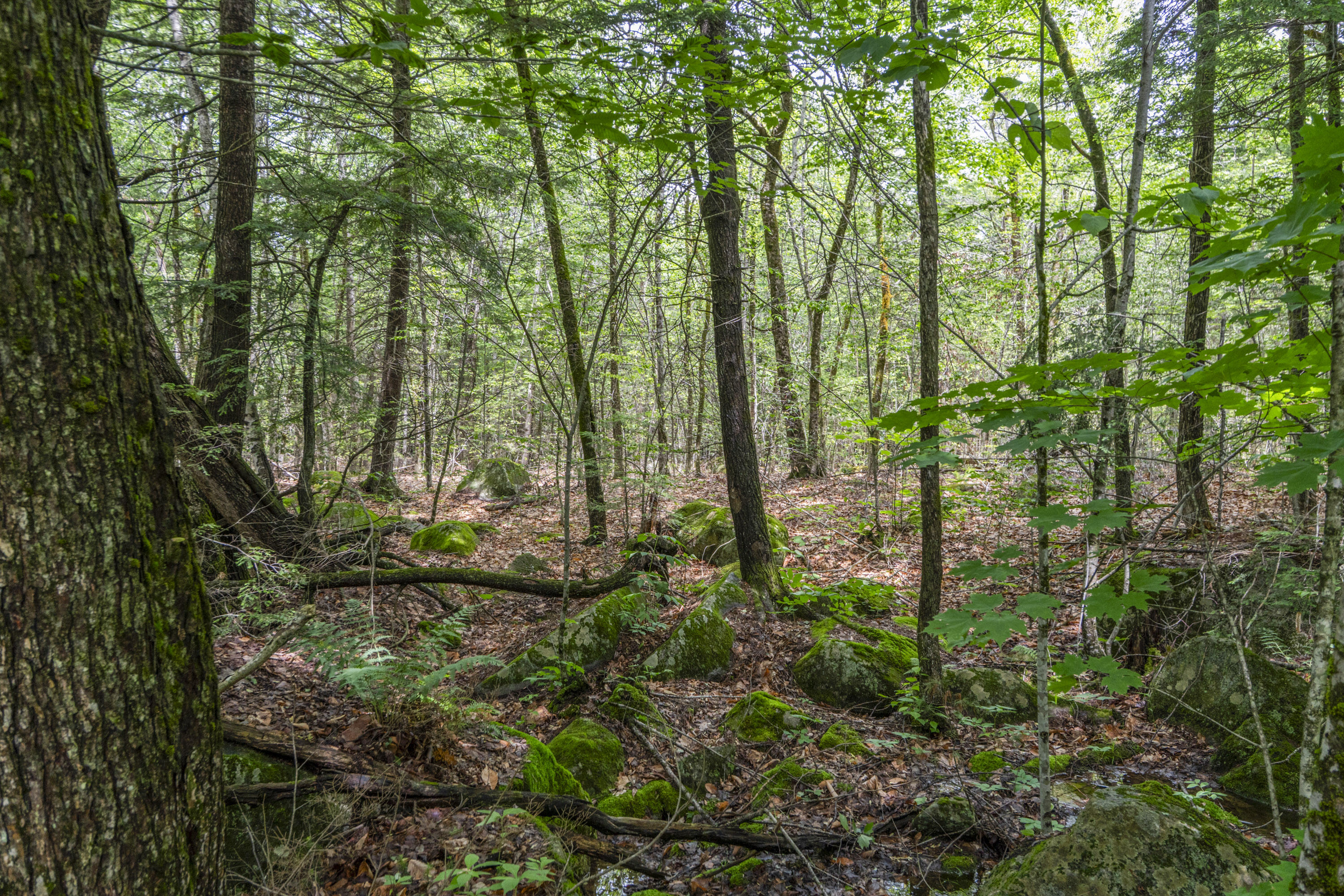 Lot17-30-1 Howland Hill Road