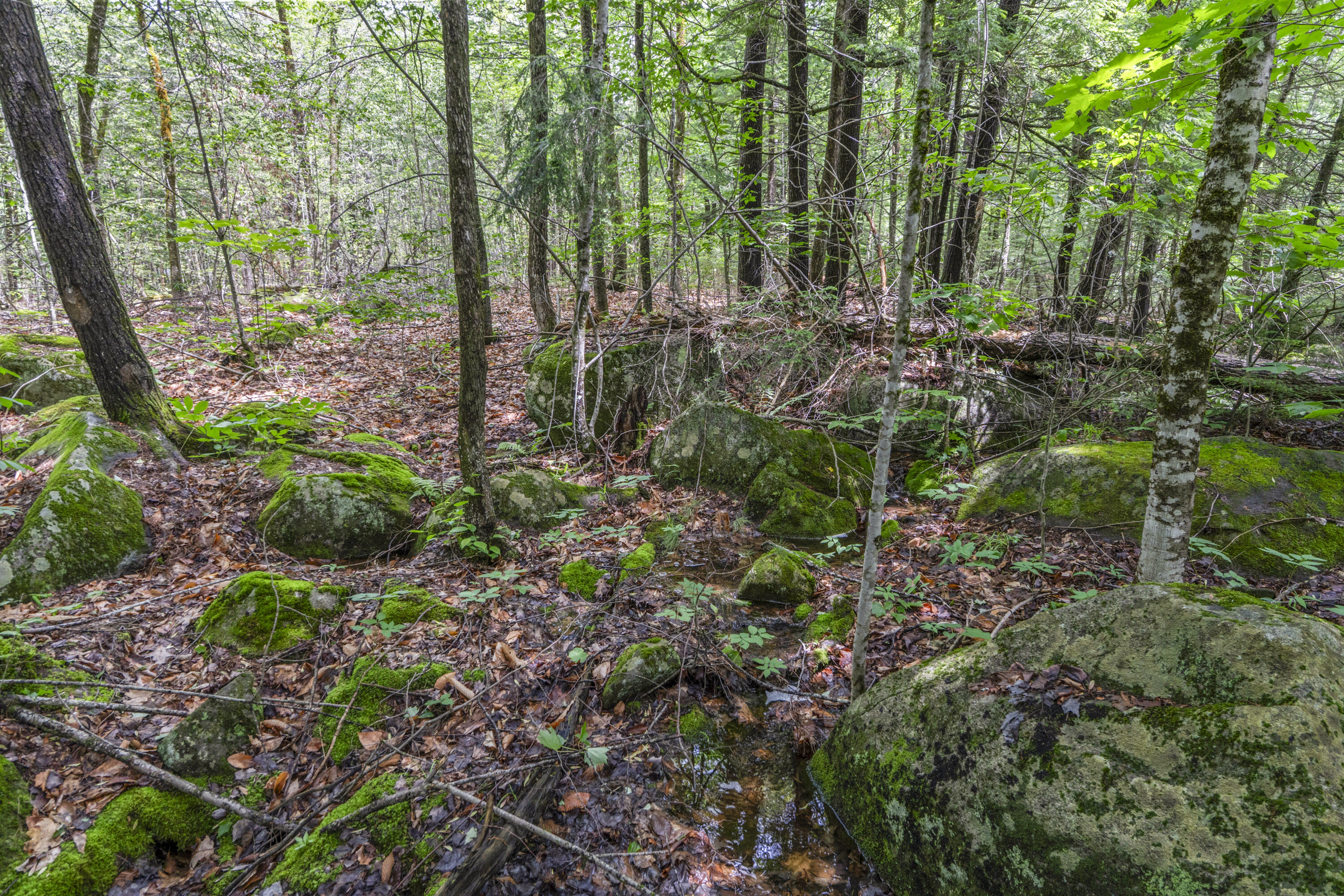 Lot17-30-1 Howland Hill Road