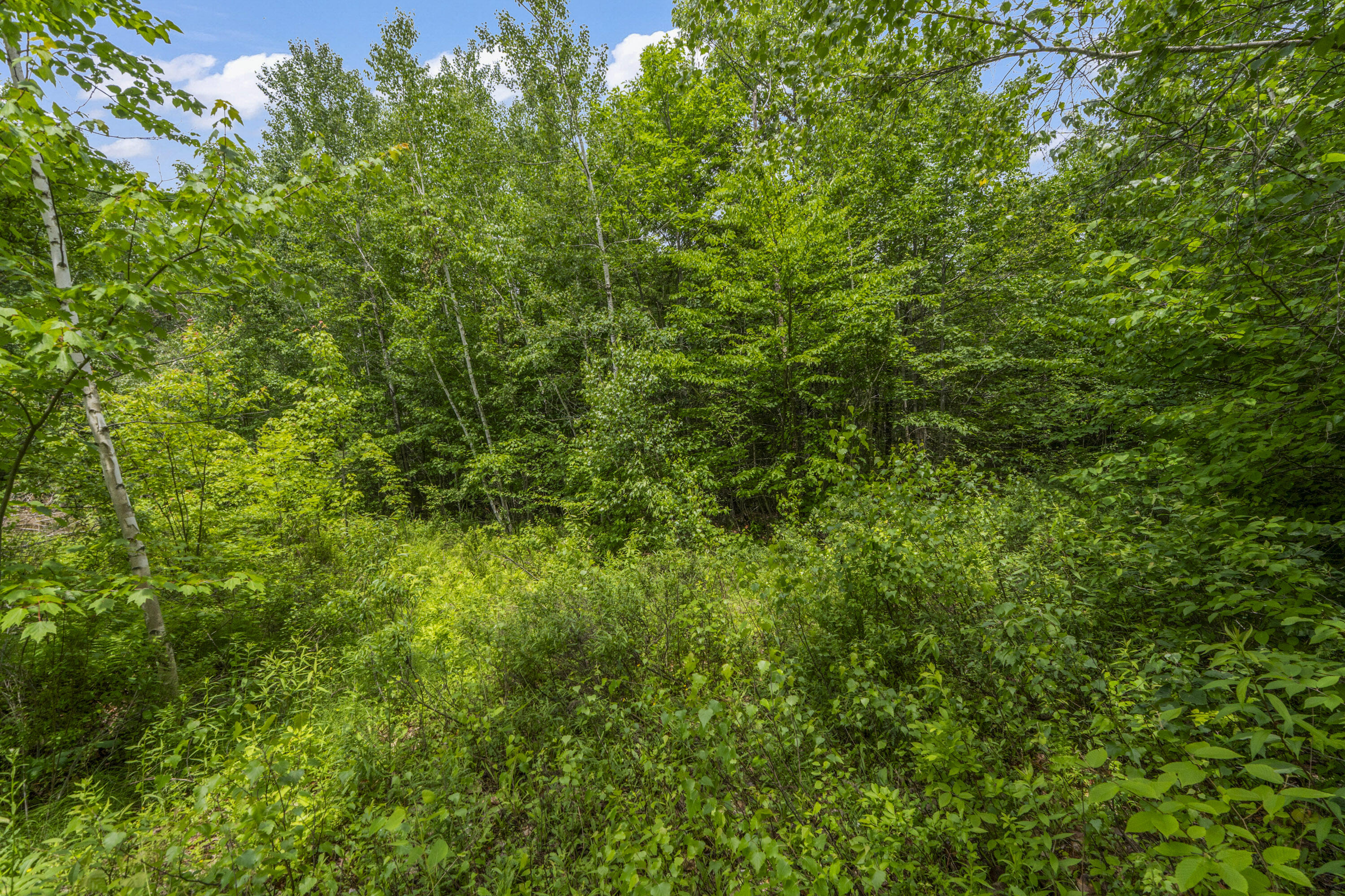 Lot17-30-1 Howland Hill Road