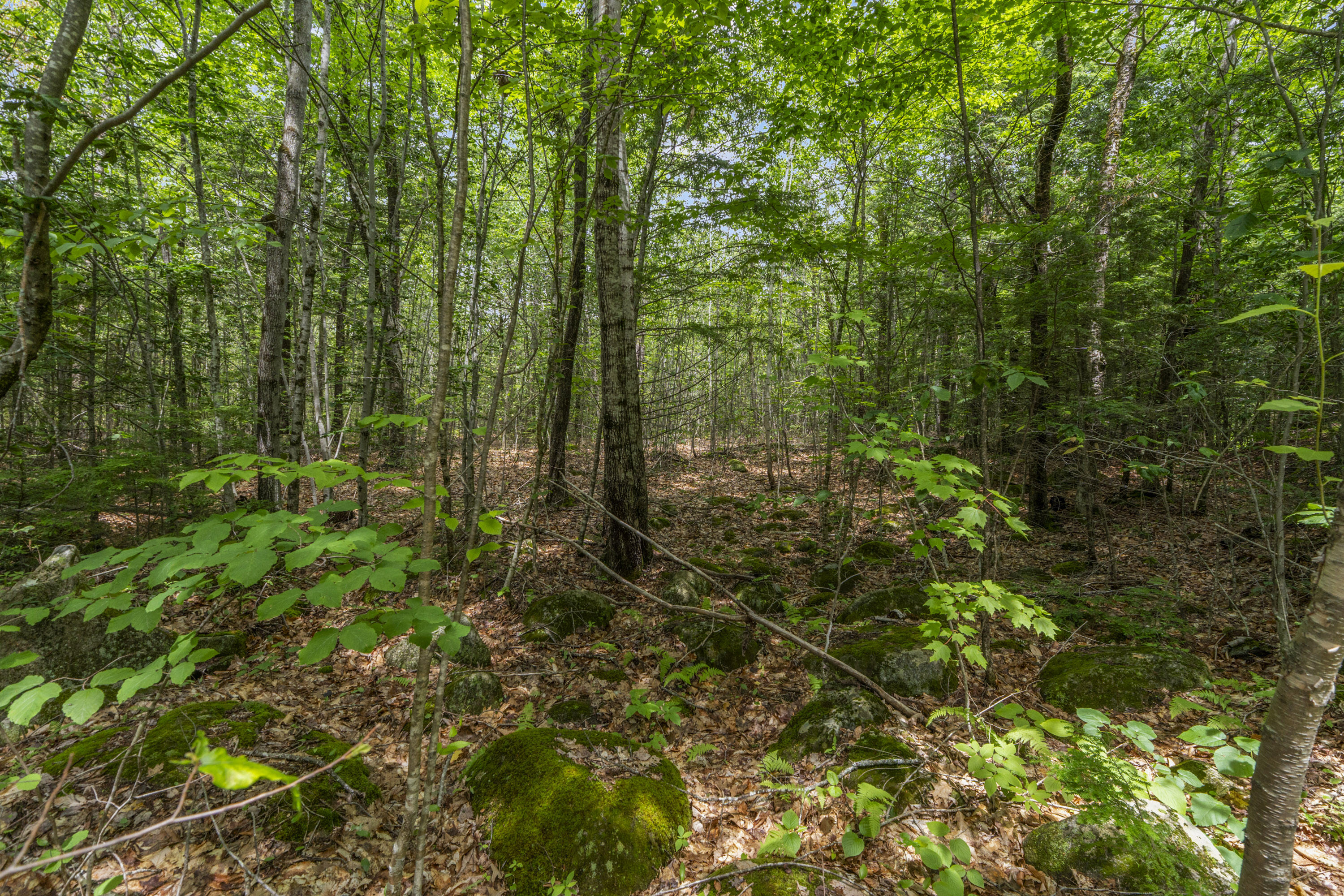 Lot17-30-1 Howland Hill Road